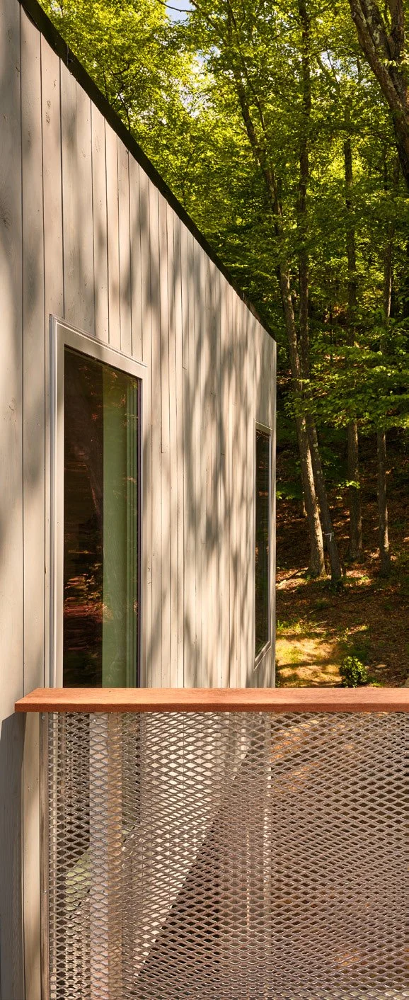 Part of a modern house exterior with vertical siding, windows, and a metal balcony railing overlooking a wooded area with sunlit trees.