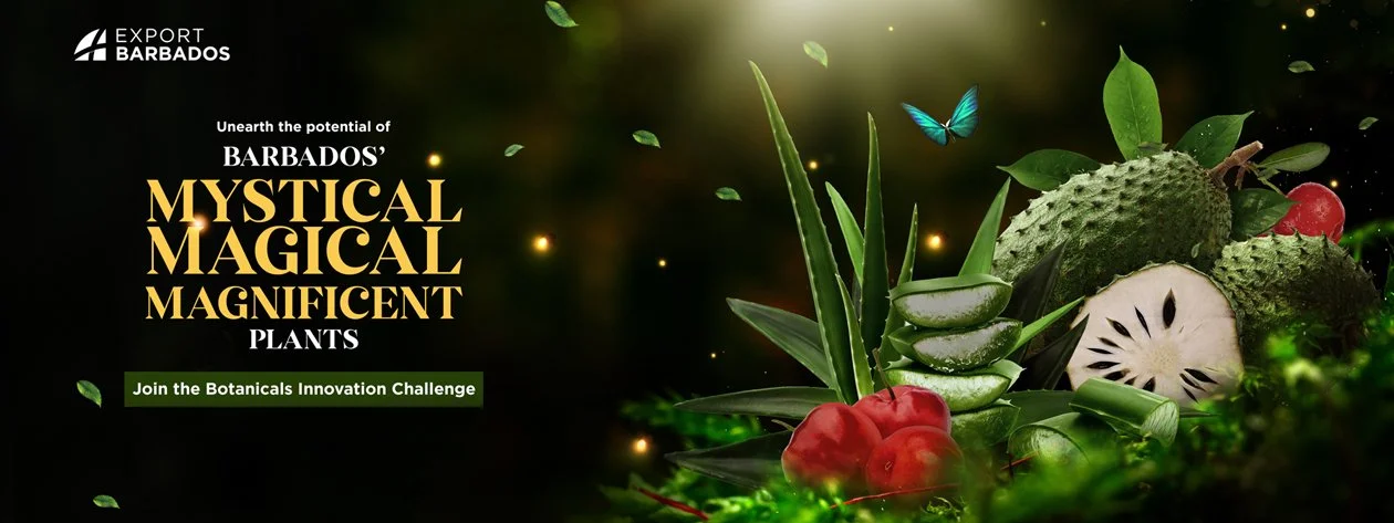 ExportBarbados-BotanicalsChallenge-2022-WebBanner.jpg