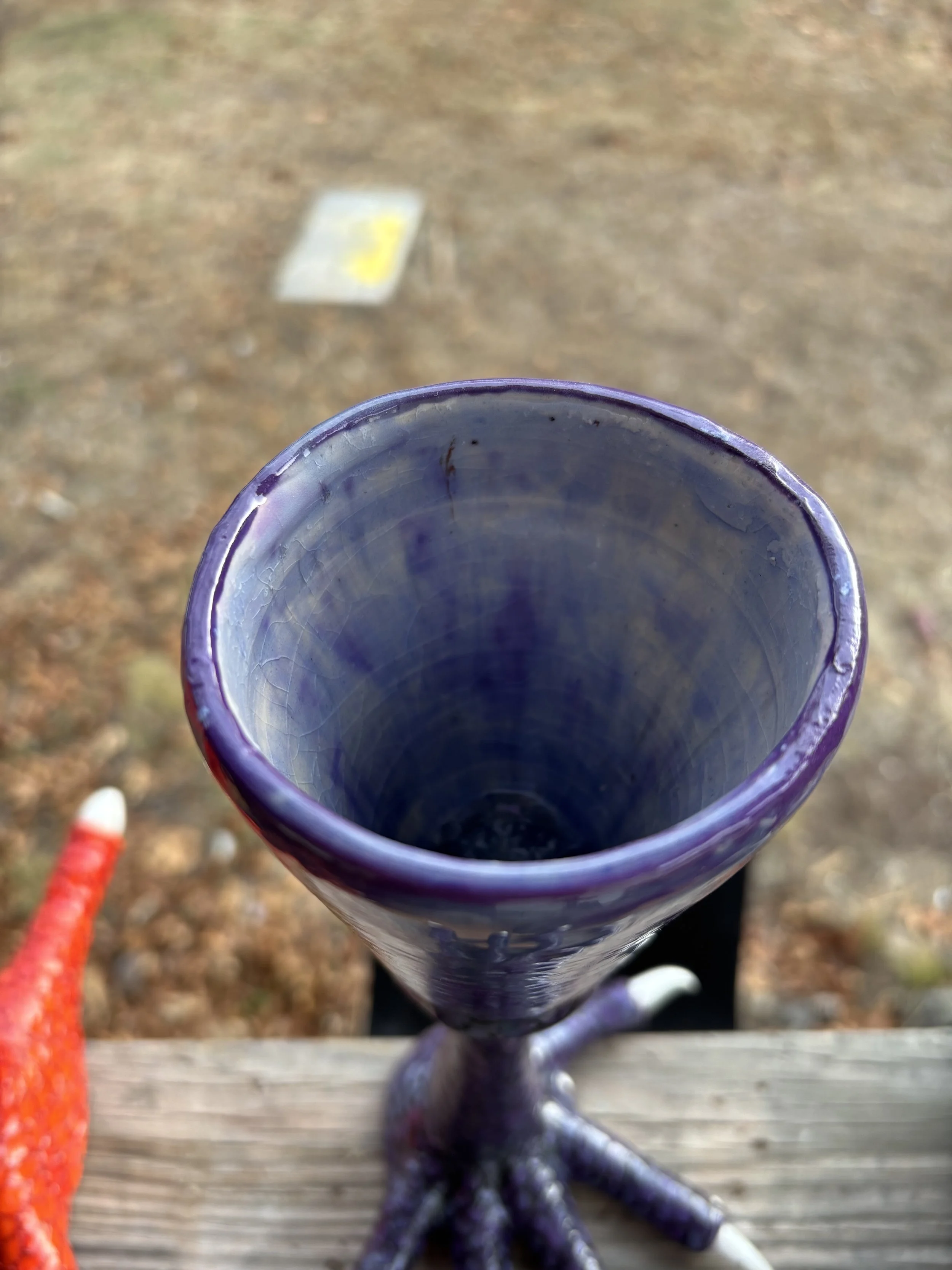 IMG_3303.jpeg