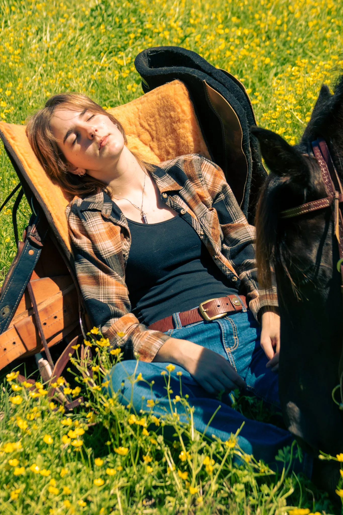 Person with short hair sleeping on a bench in a field of yellow flowers, wearing a plaid shirt and a black t-shirt, with a black dog nearby.