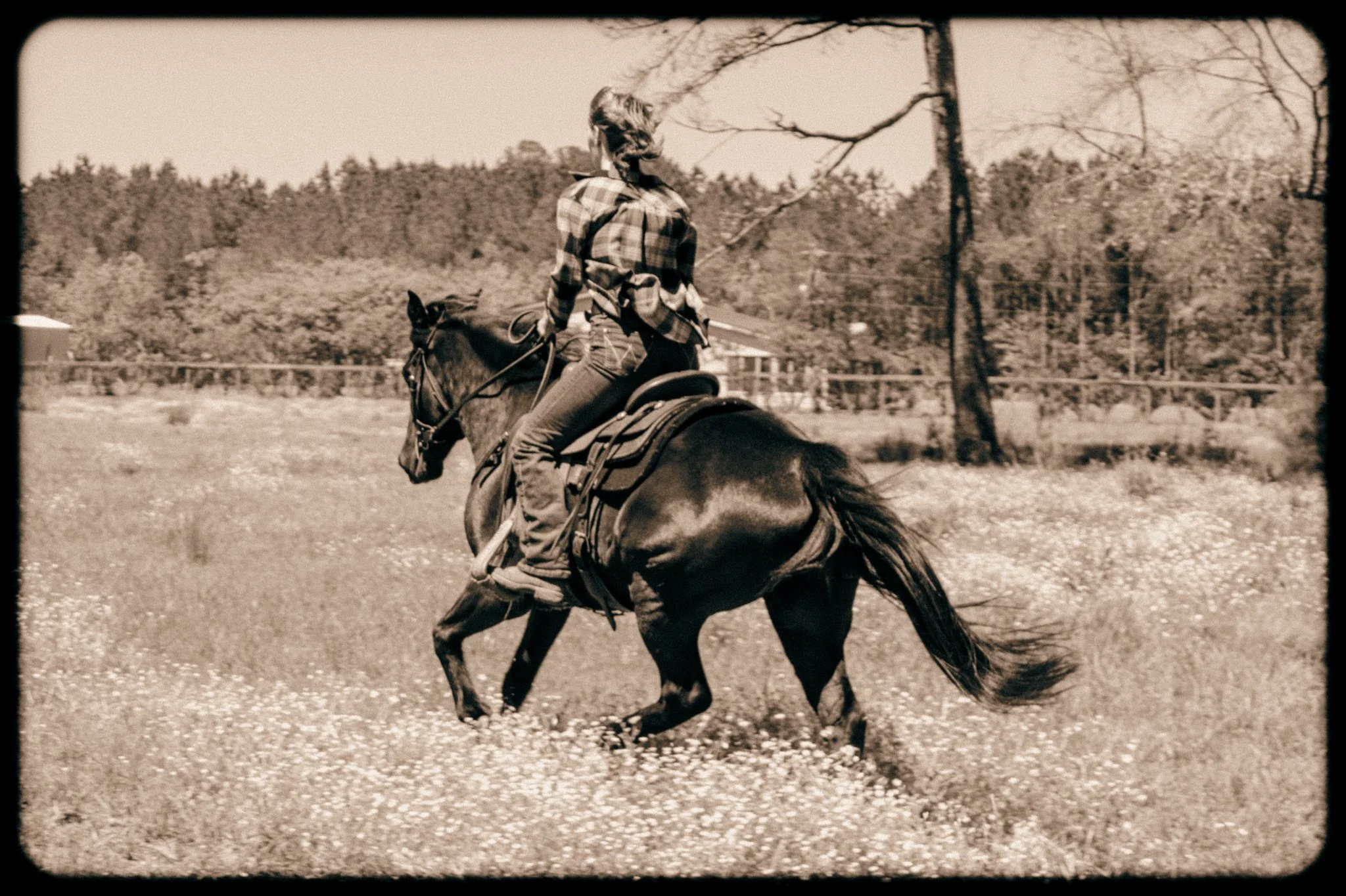 A person riding a horse on a grassy field with trees in the background, captured in black and white.