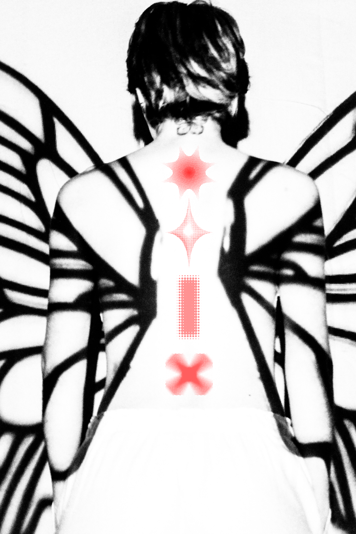 csss.png