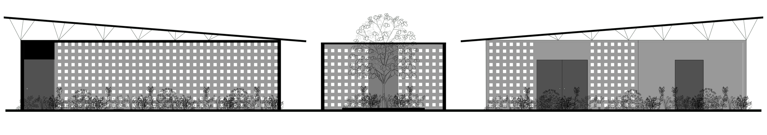 Architectural Elevation
