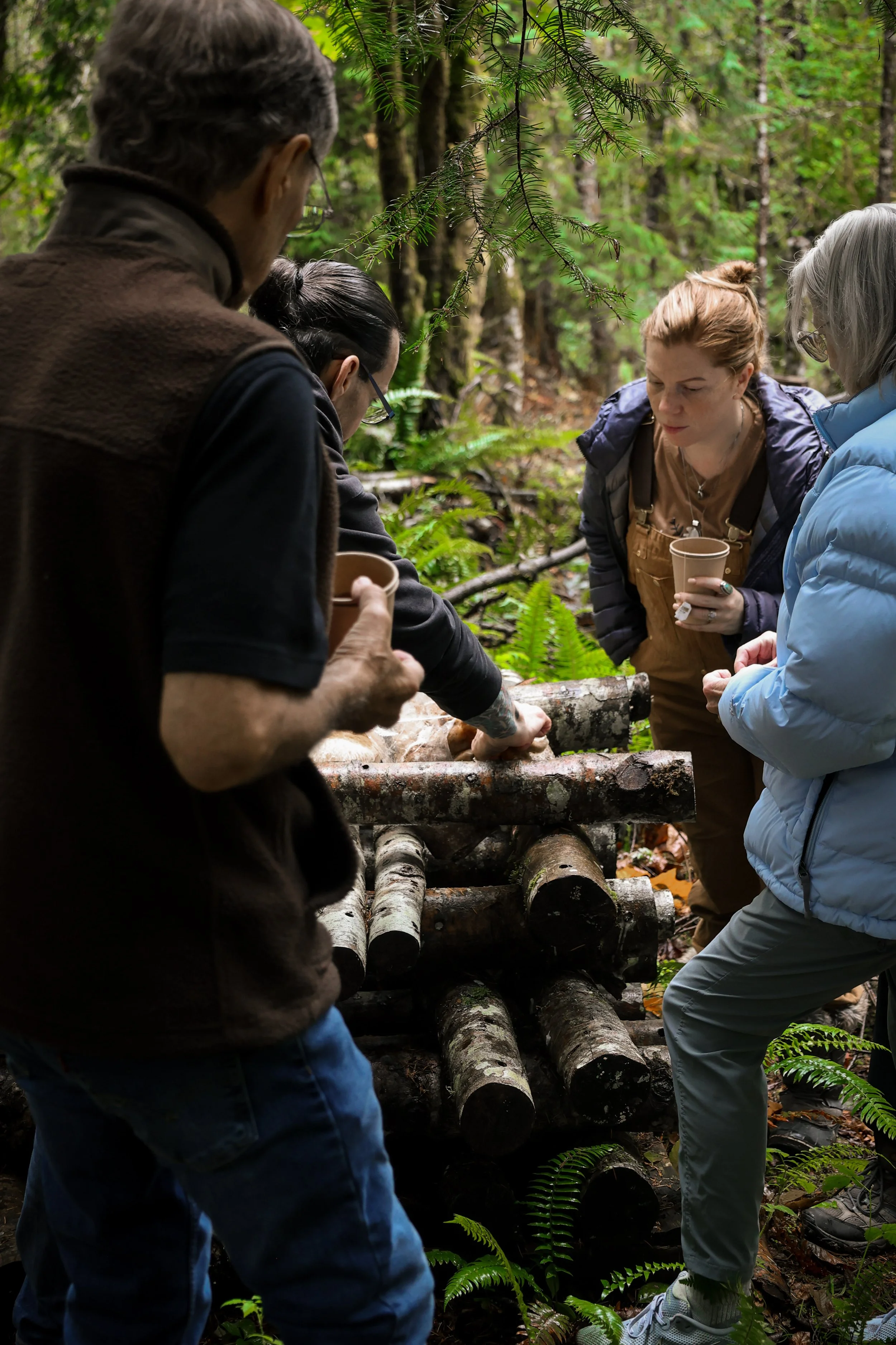 Group of four people in a forest, gathering around logs, possibly for a fire or workshop, surrounded by green ferns and trees.