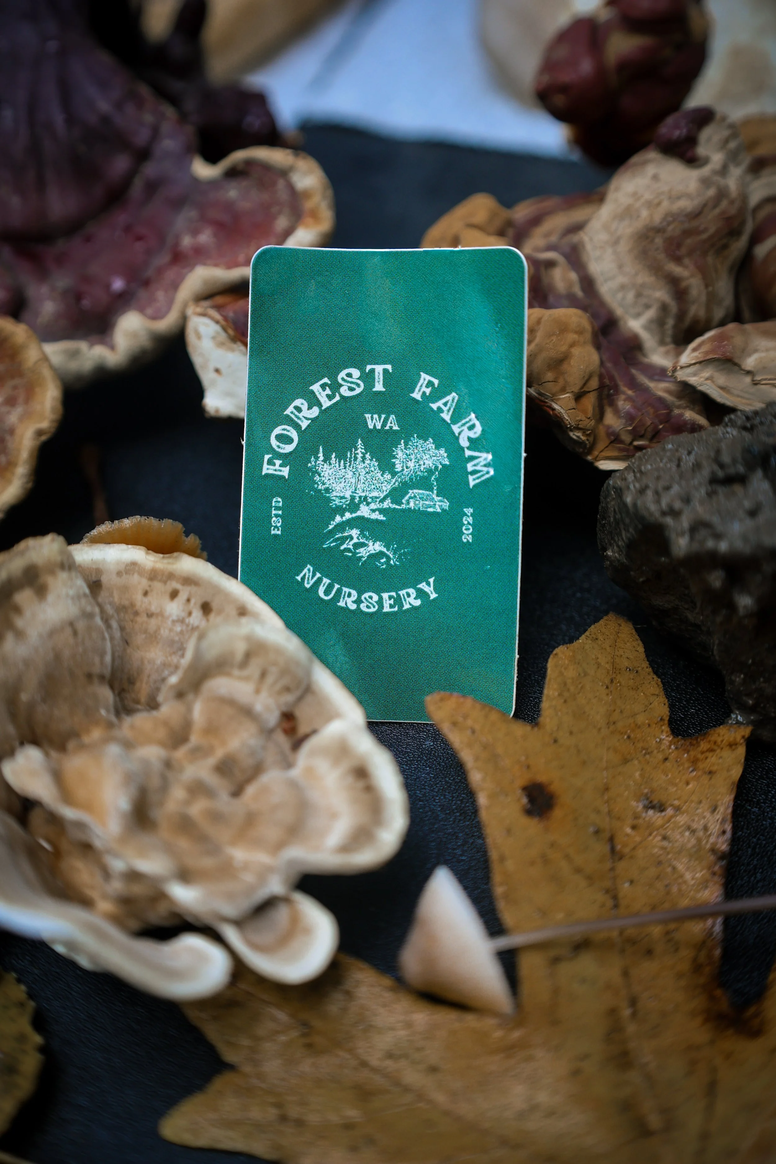 Close-up of a green card with the words 'Forest Farm Nursery' surrounded by trees and a cabin, placed among dried mushrooms and autumn leaves.