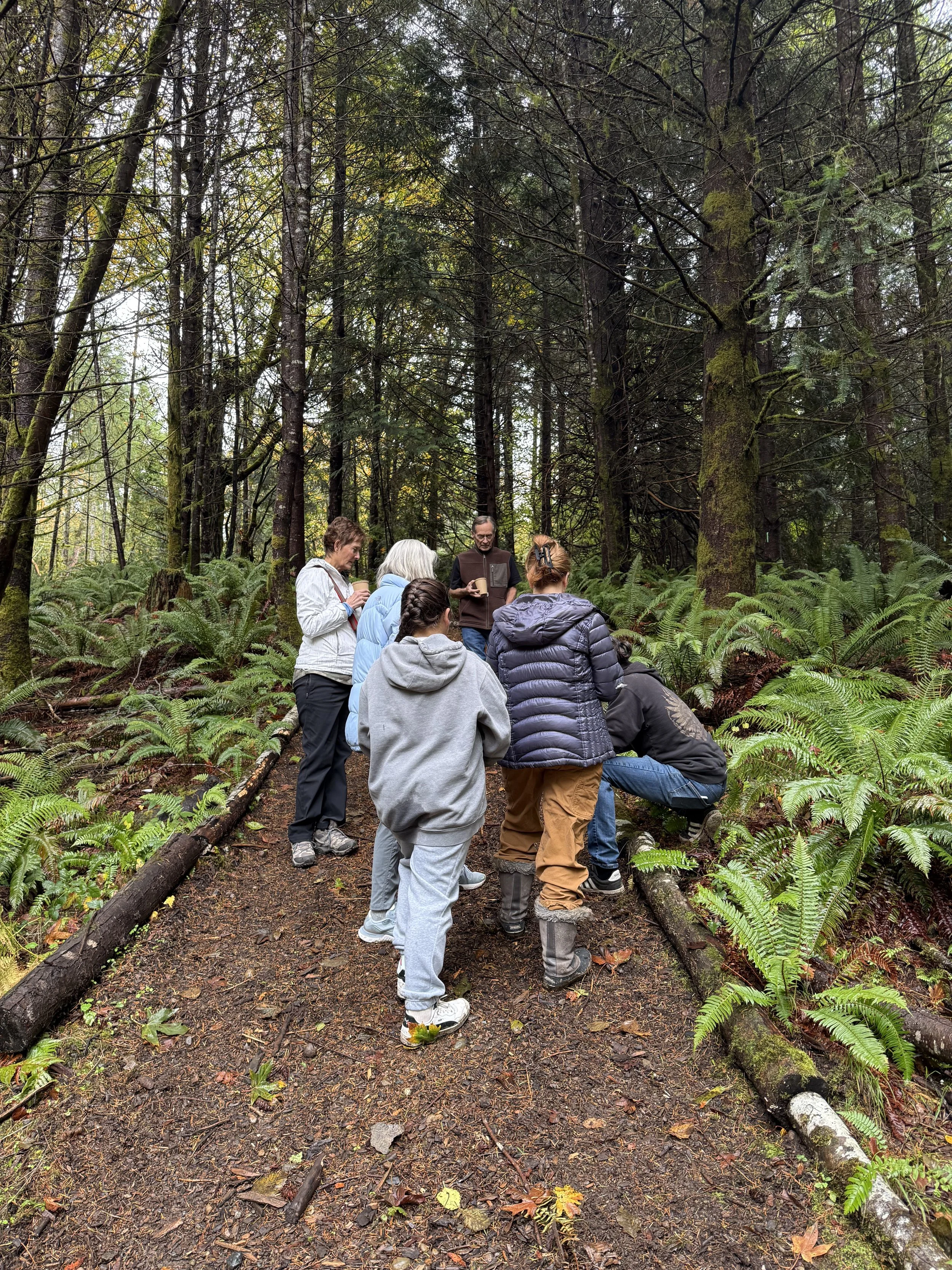 Group of people on a forest trail surrounded by tall trees and green ferns, some are standing and others are crouching, appearing to examine something on the ground.