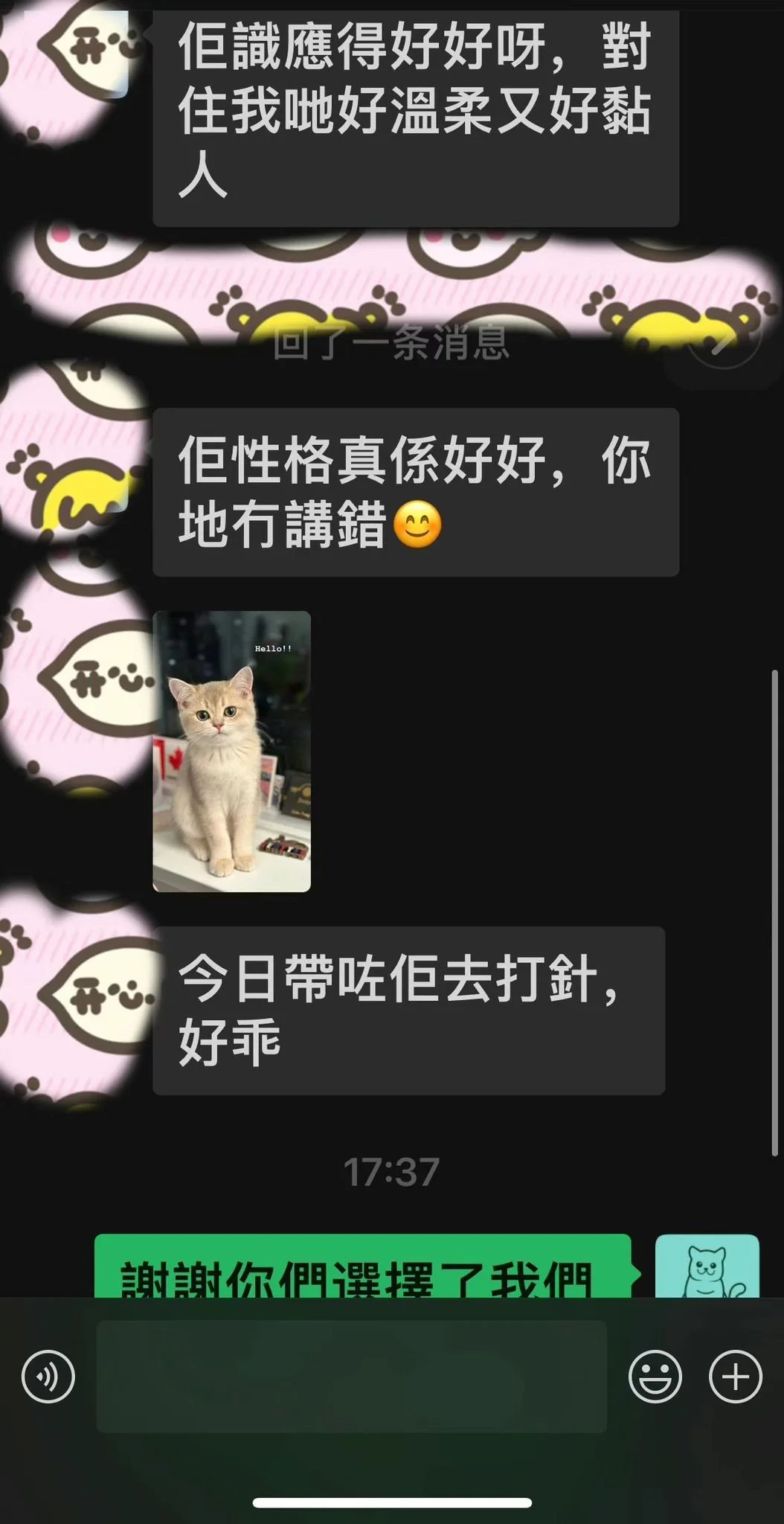 Text conversation in Chinese with a background of pink and brown paw print pattern. Contains a picture of a beige kitten sitting, with speech bubbles of chat messages.