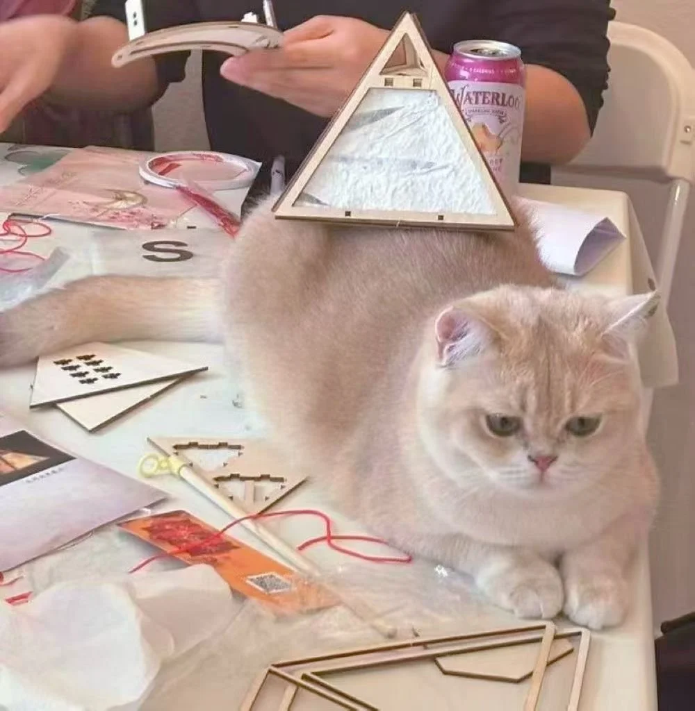A beige cat sitting on a table cluttered with various craft supplies, with a small triangular mirror on its back reflecting its surroundings, and a person in the background holding a phone.