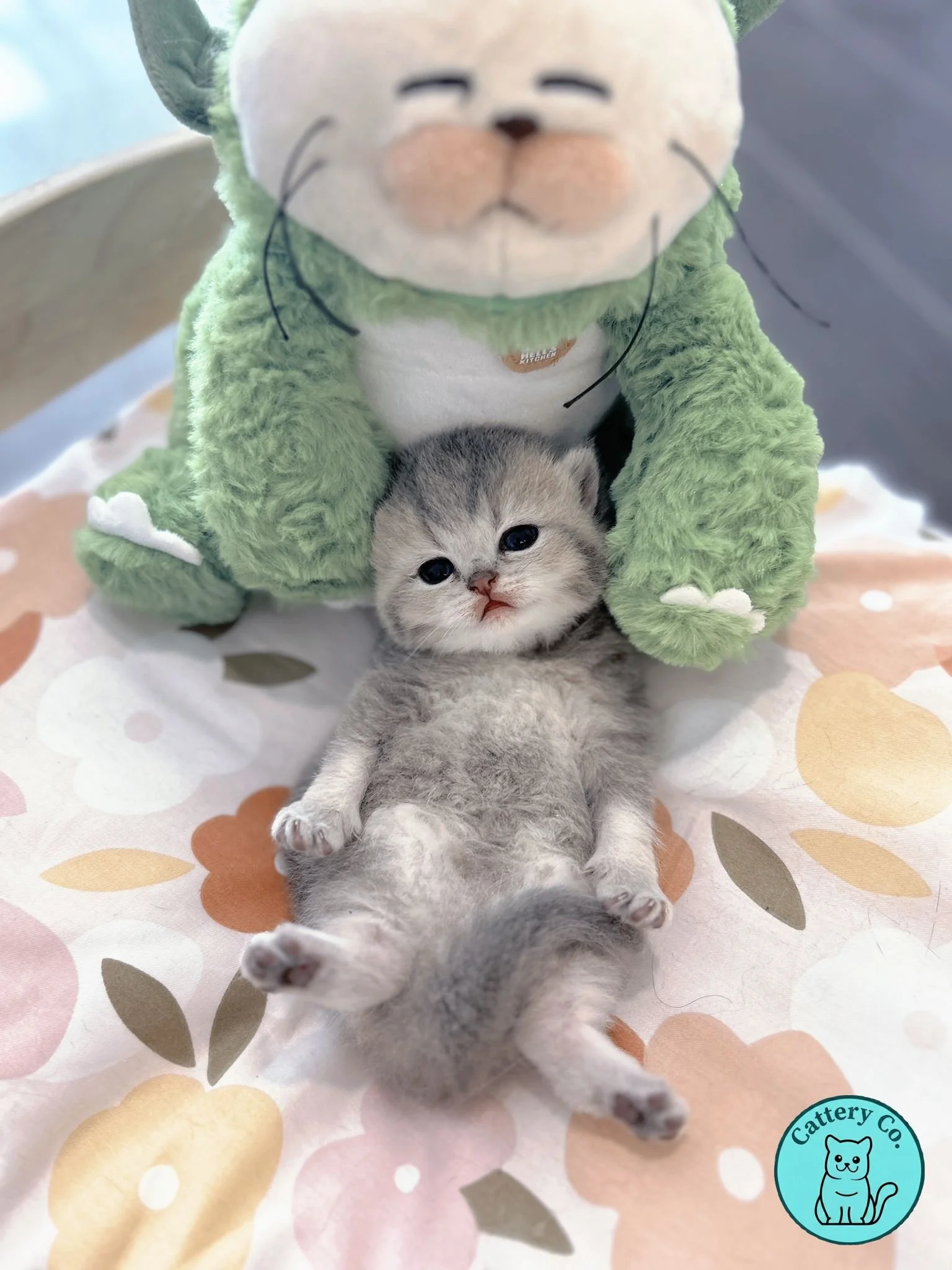 WhatsApp Image 2024-08-03 at 10.07.42_c8d9b1d4.jpg