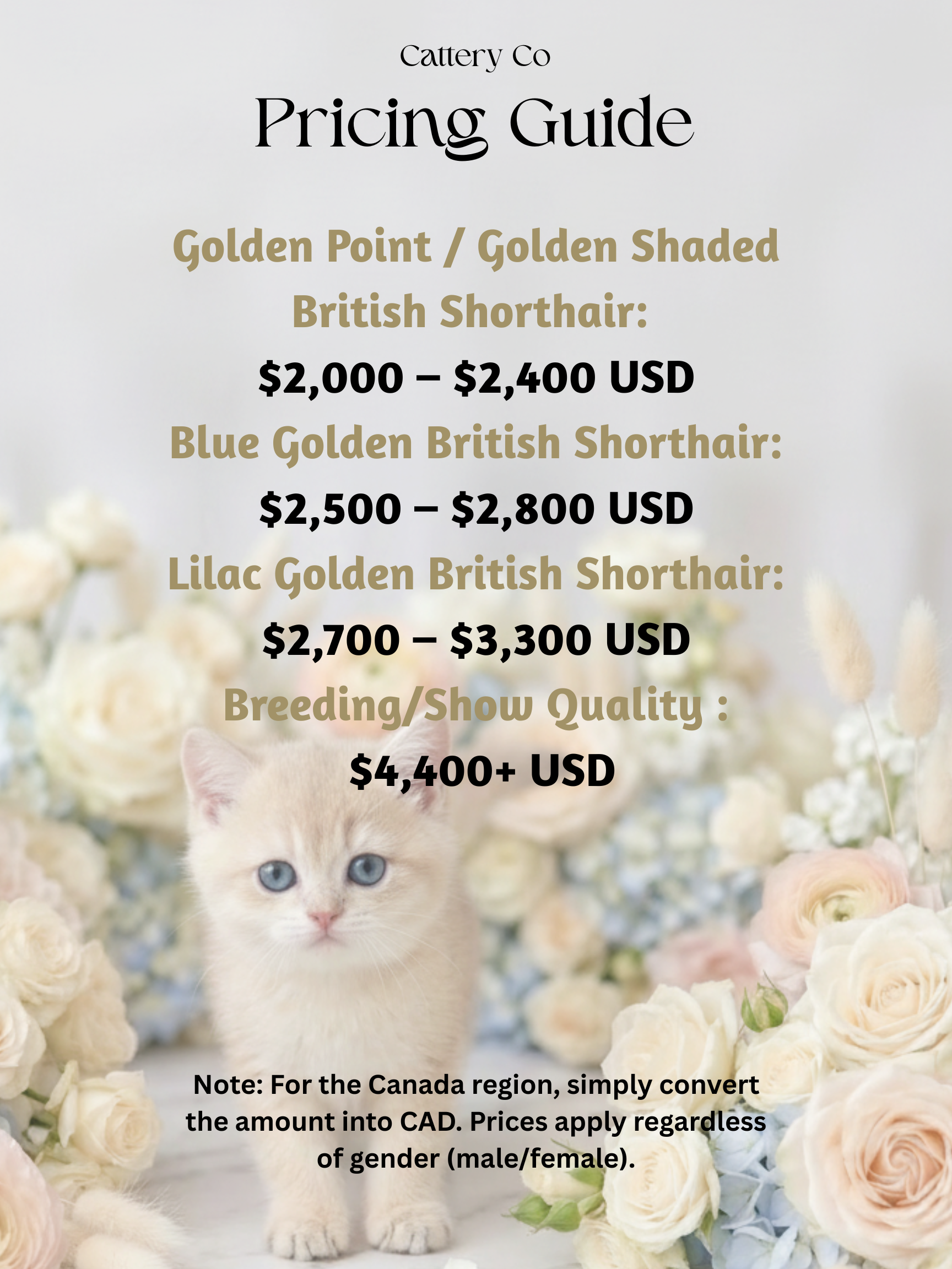 Cattery Co Pricing Guide (1).png
