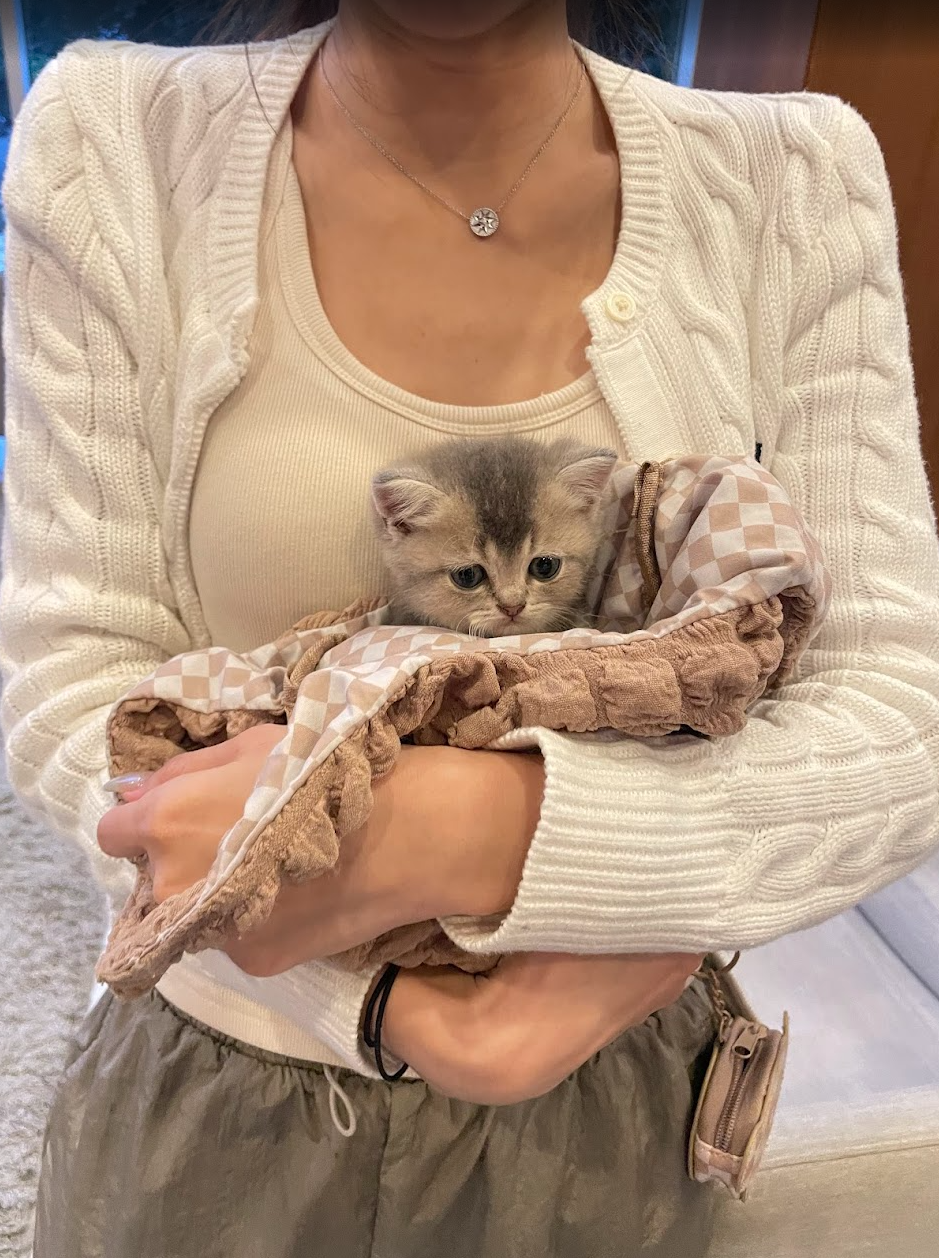 A person in a white knit cardigan holding a small kitten wrapped in a beige checkered blanket.
