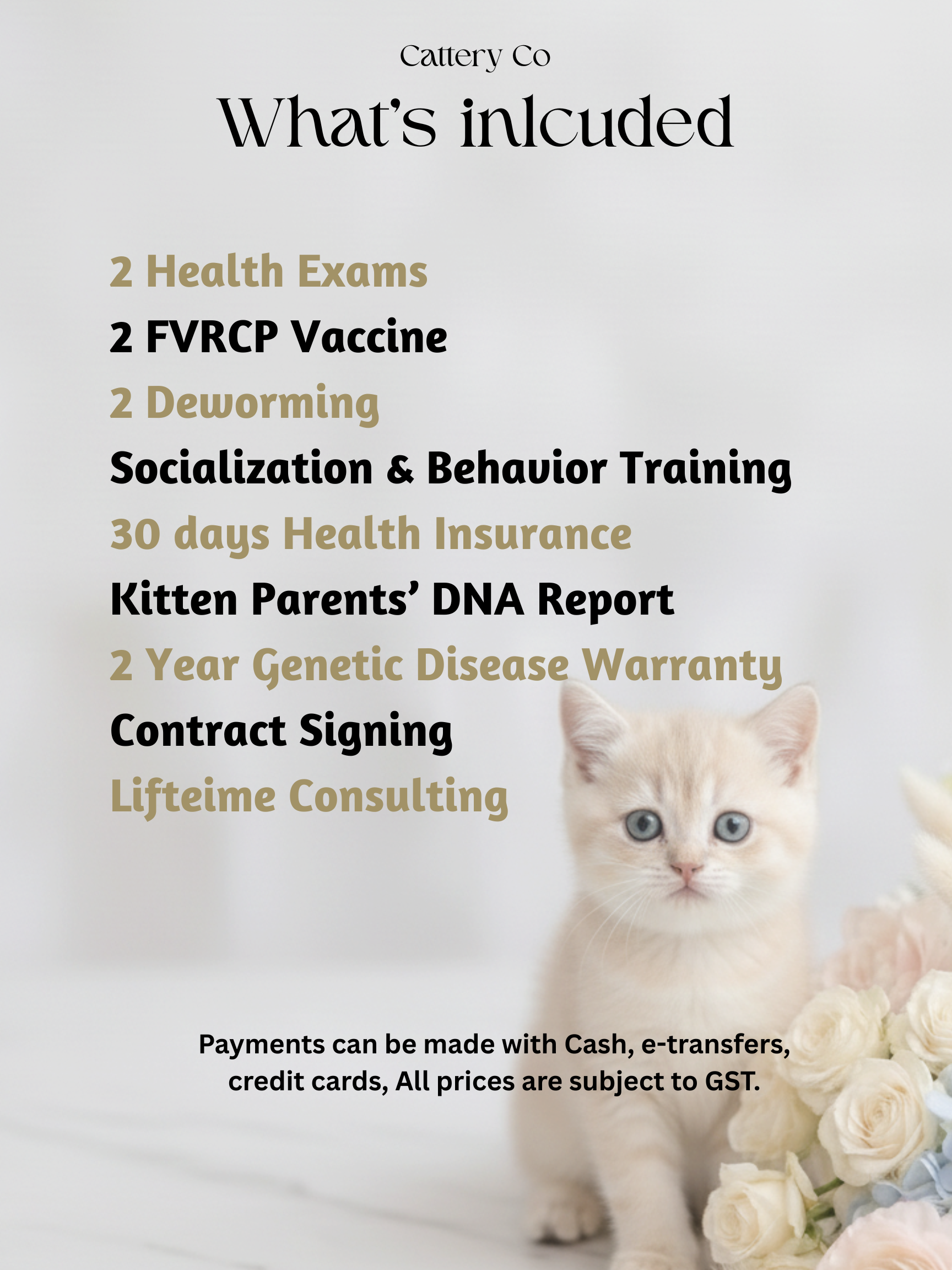 Copy of Cattery Co Pricing Guide.png