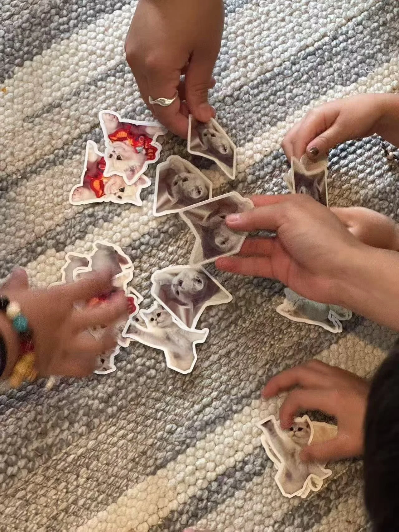 Several people are playing with cut-out images of dogs and cats on a textured carpet.