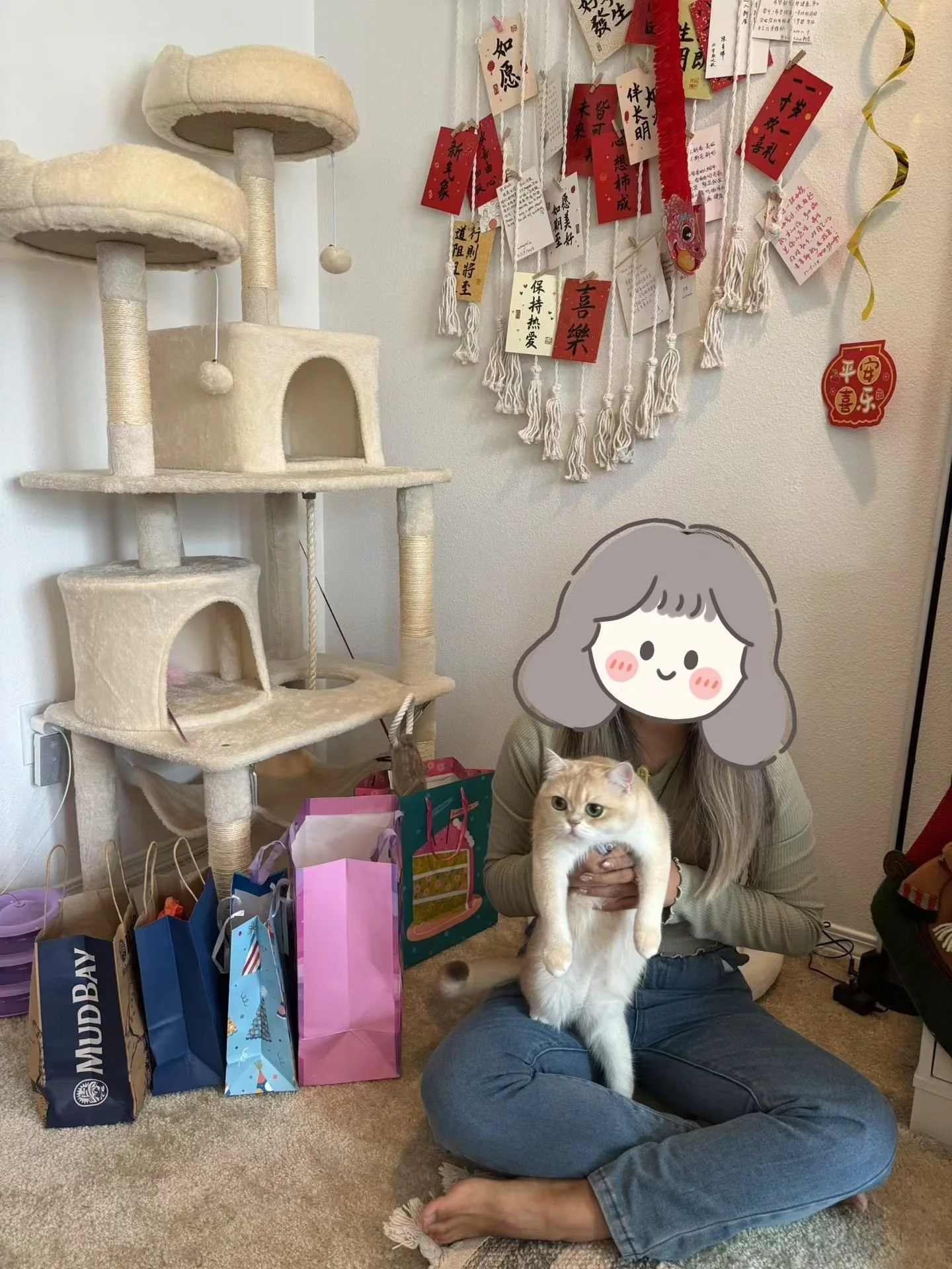 A person with a cartoon face holding a cat, sitting on a beige carpeted floor in front of a cream-colored cat tree and colorful shopping bags on the floor. The wall behind has decorative hanging notes and red paper decorations.