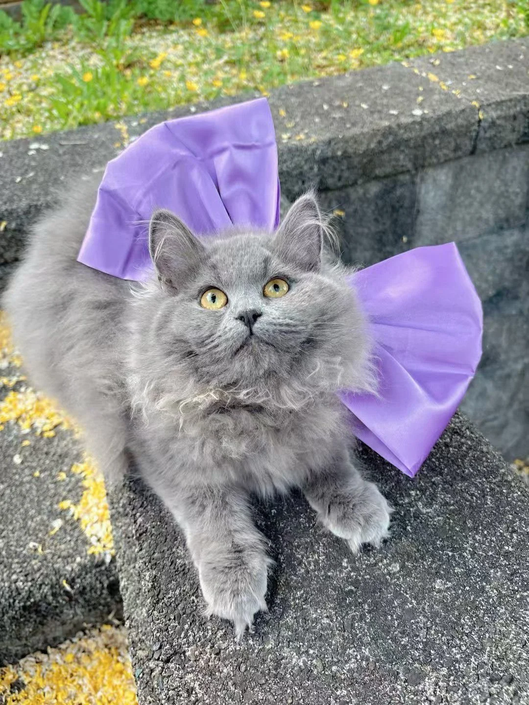 WhatsApp Image 2026-01-22 at 7.22.41 PM.jpeg