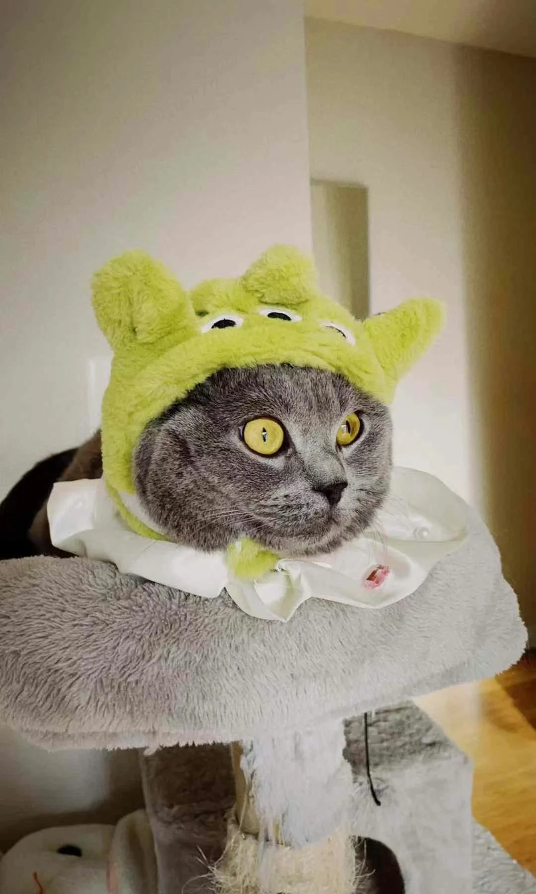 A gray cat wearing a green plush hat resembling a character with three eyes and two ears, sitting on a beige cat tree.