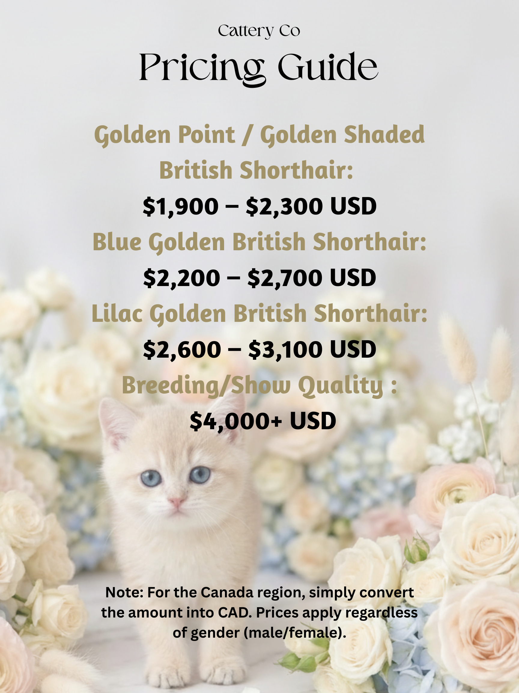 Cattery Co Pricing Guide (1).png