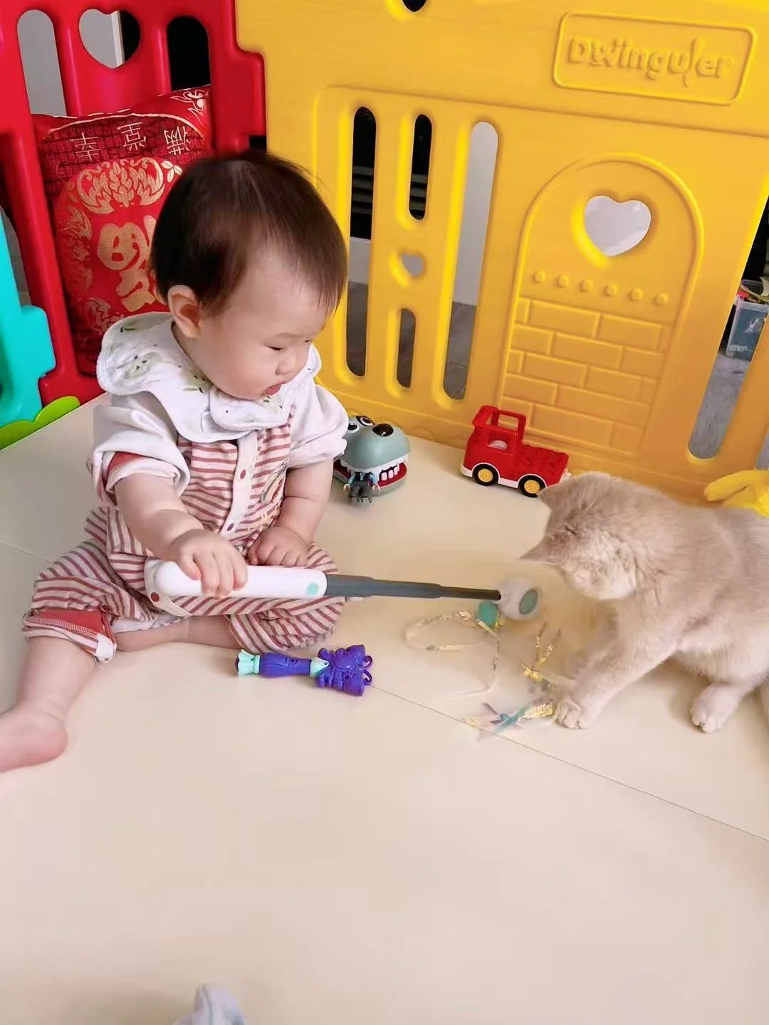 A young child playing with a toy fishing rod to catch a beige cat, which is biting the toy's end in a playroom with colorful plastic playpen panels and small toys.