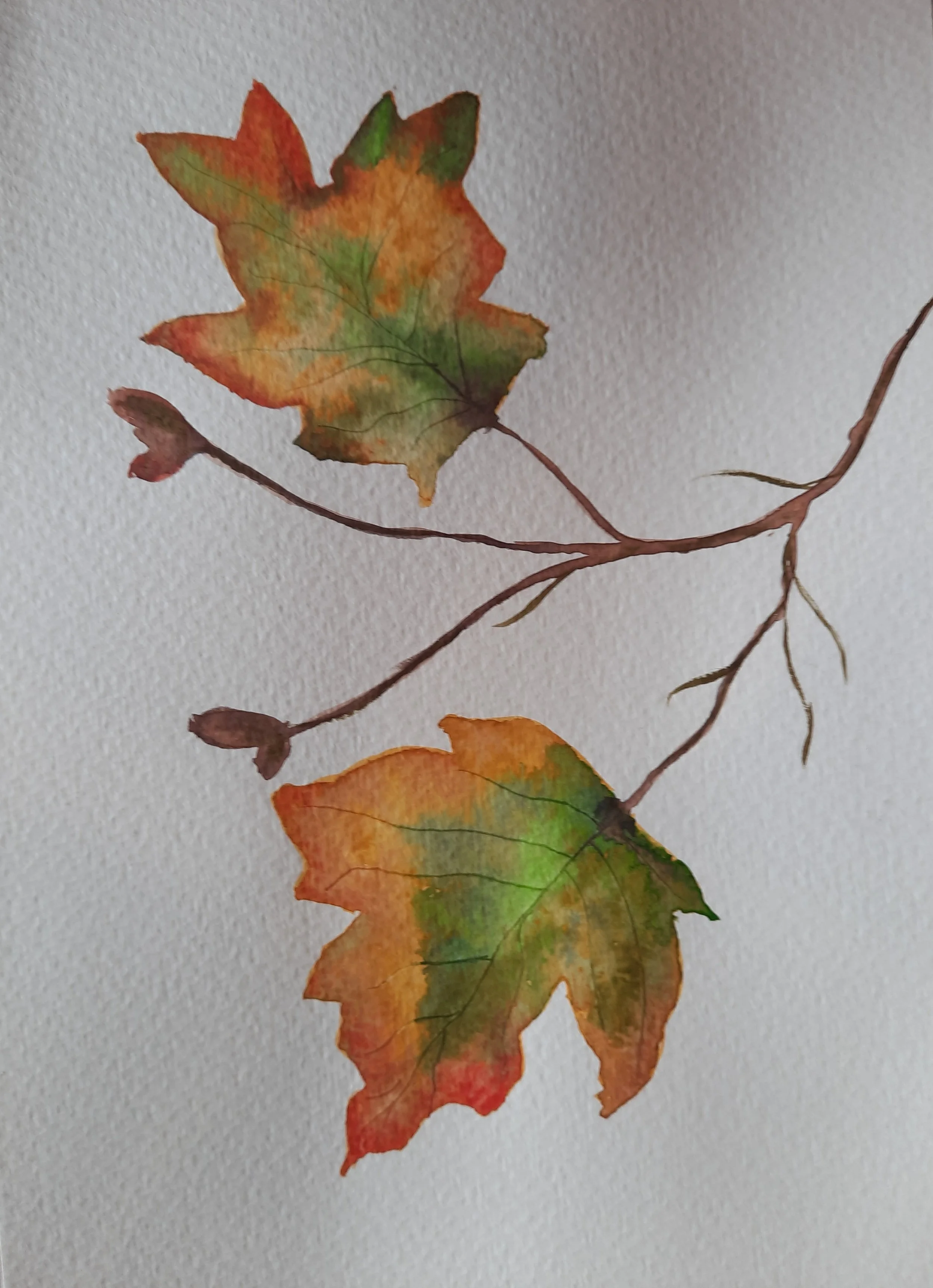 Two autumn leaves with colorful fall foliage on thin branches against a plain background.