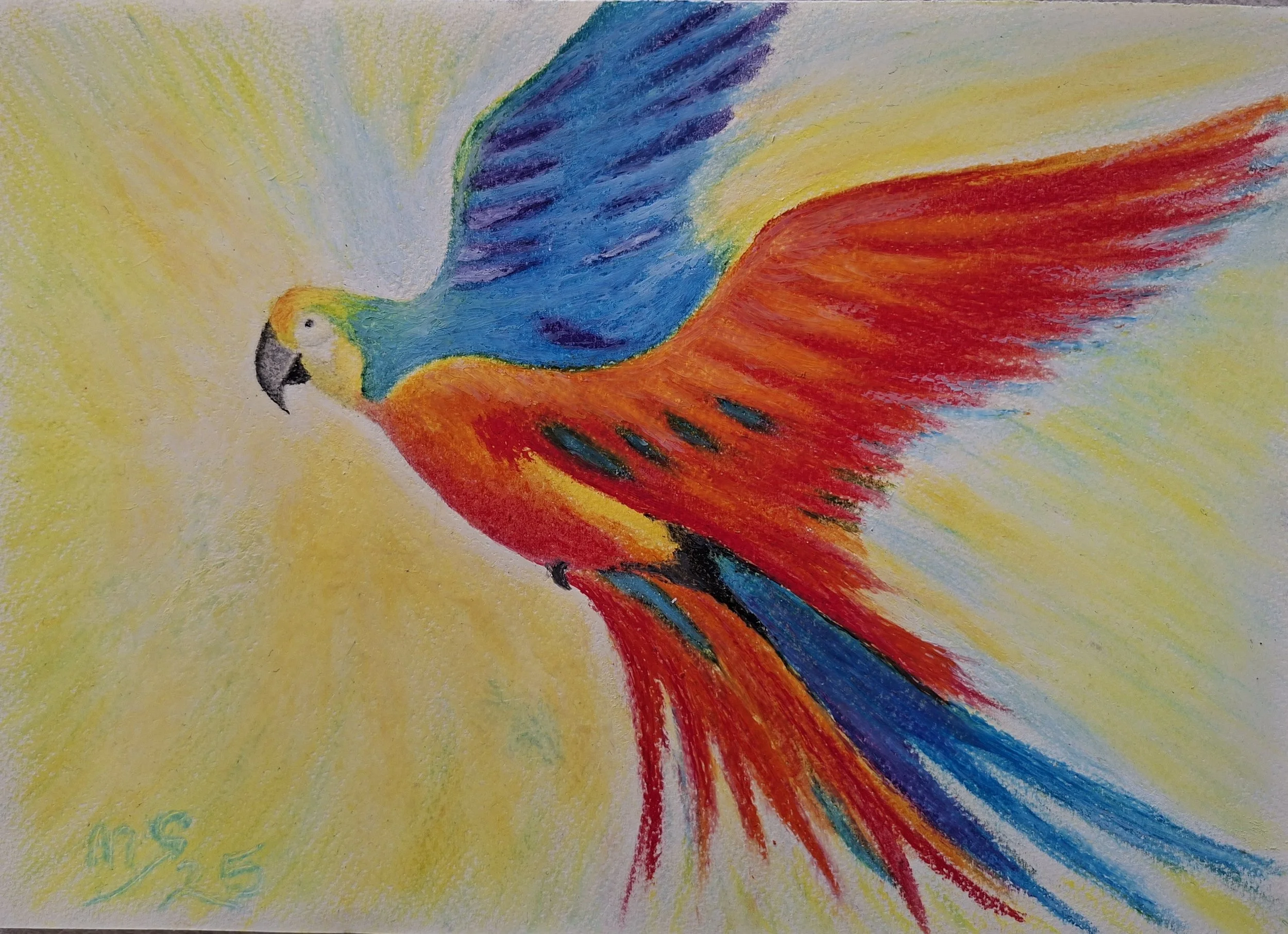 Colorful drawing of a parrot flying with rainbow-colored wings against a yellow background.