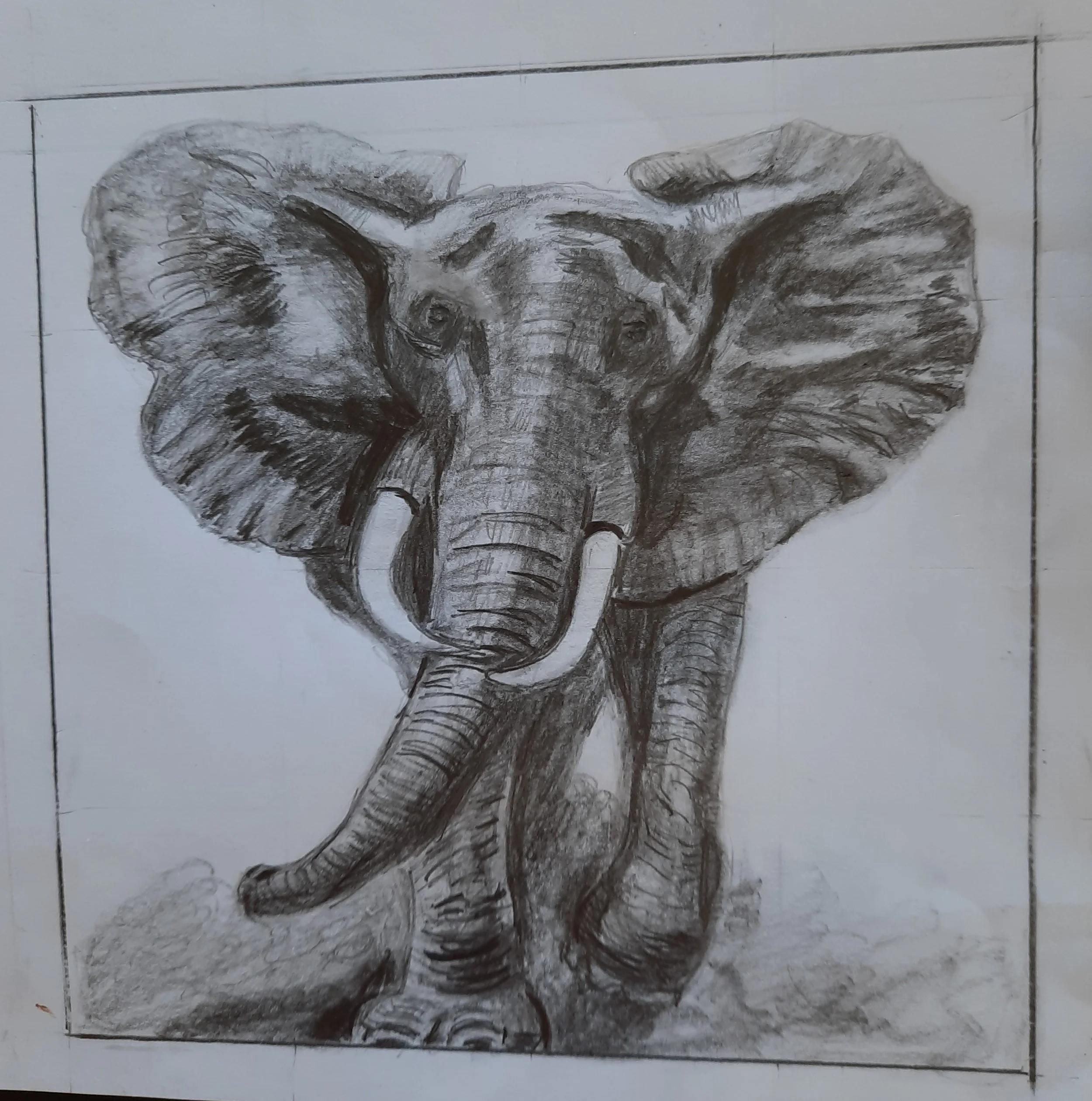 A detailed pencil sketch of an elephant facing forward with large ears spread out, trunk hanging down, and tusks visible.