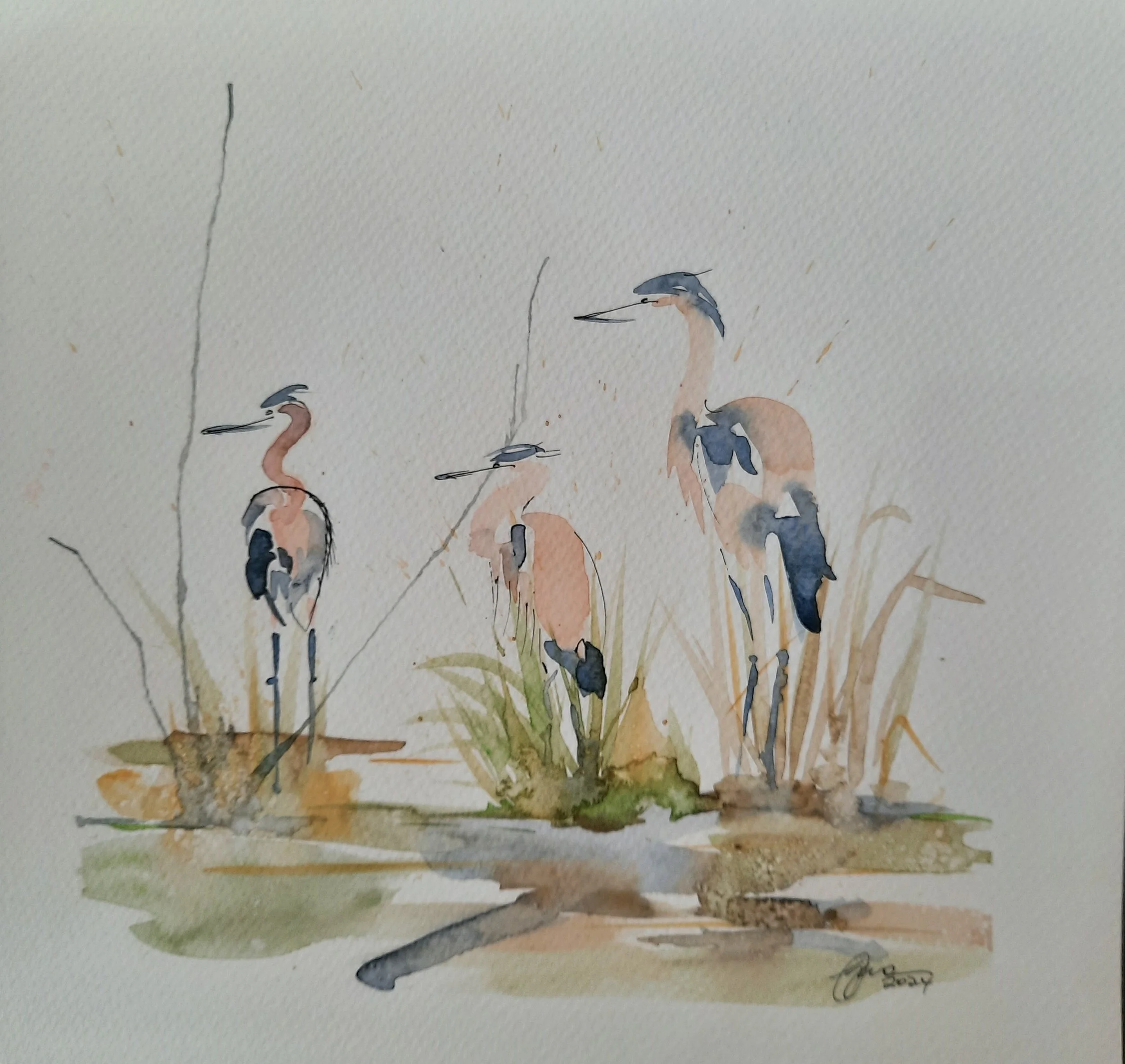 Watercolor painting of three herons standing among reeds and grasses near water.
