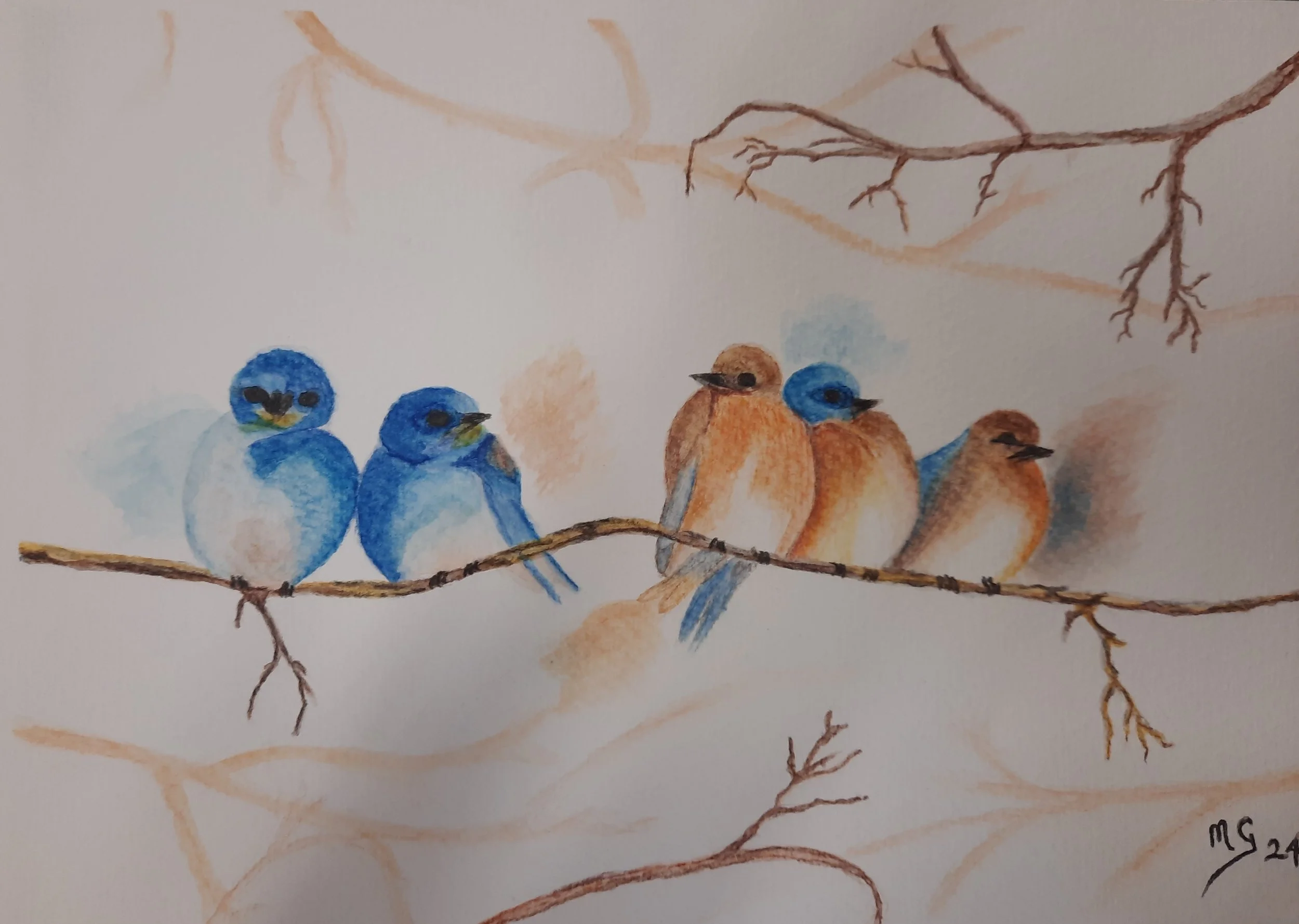 Watercolor painting of five birds sitting on a tree branch, three blue and two brown, with a light background and bare tree branches overhead.