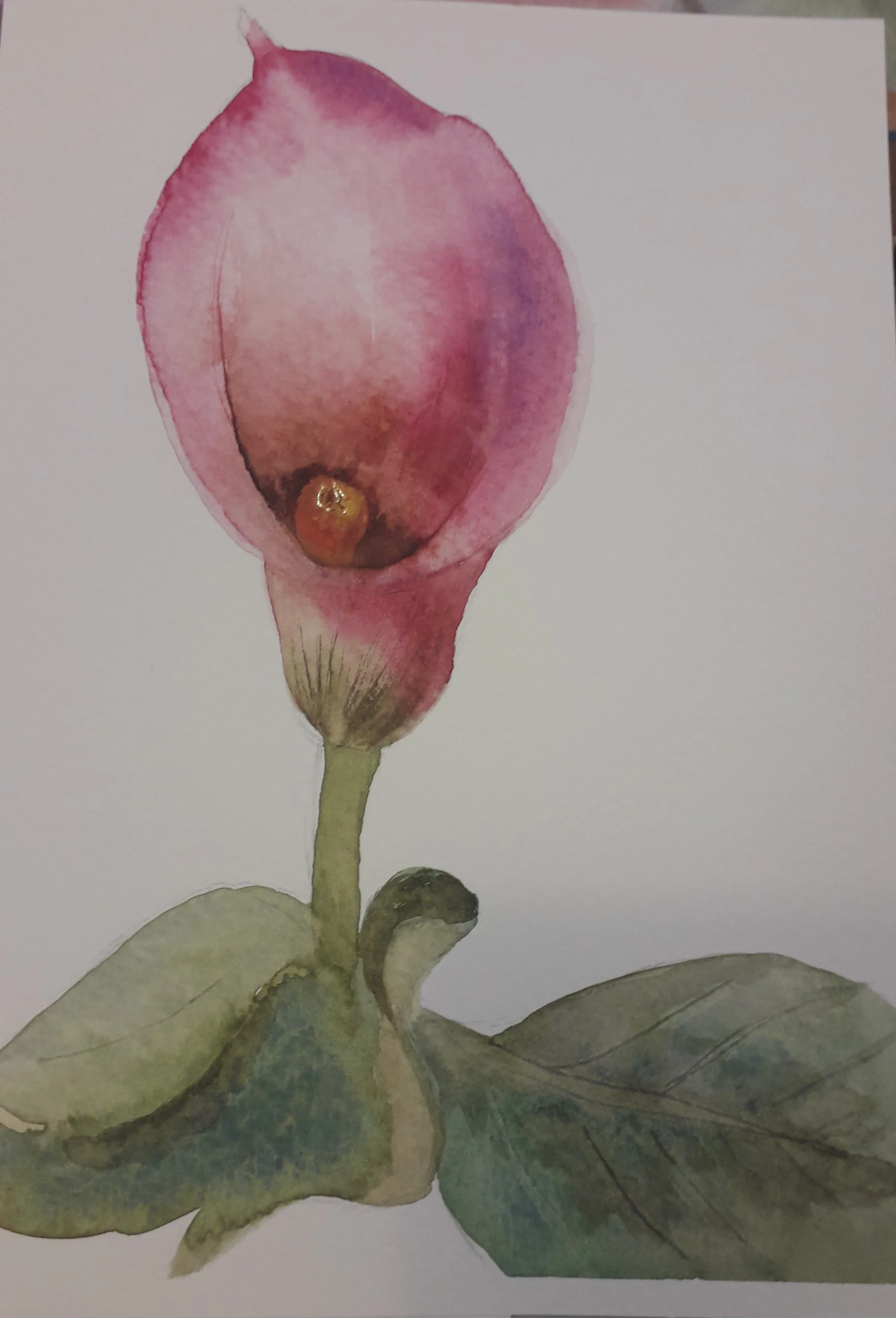 Watercolor painting of a pink rosebud with green leaves.