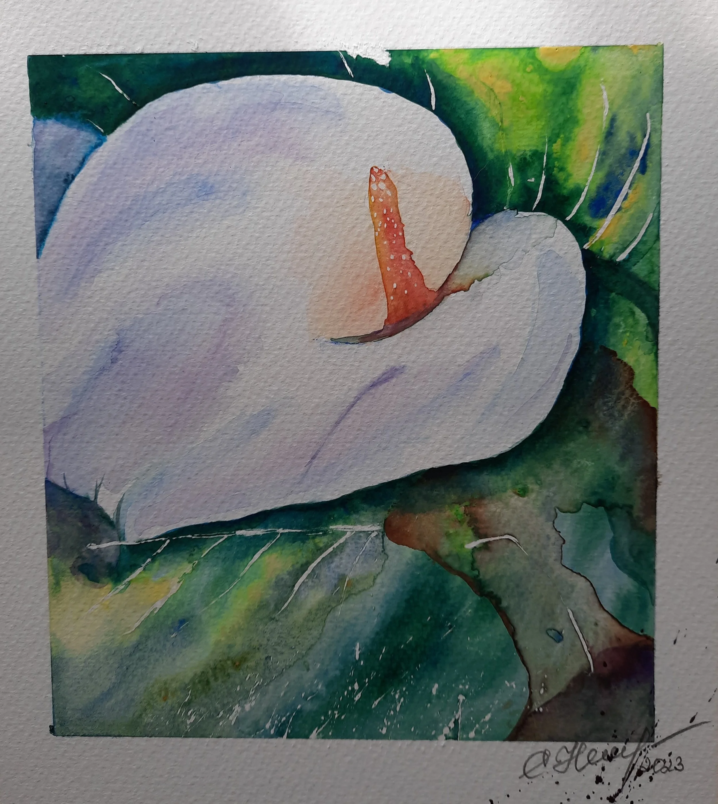 Watercolor painting of a white swan with its head tucked into its body, surrounded by green foliage.
