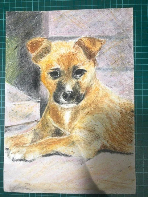 Stella pastel dog.jpg