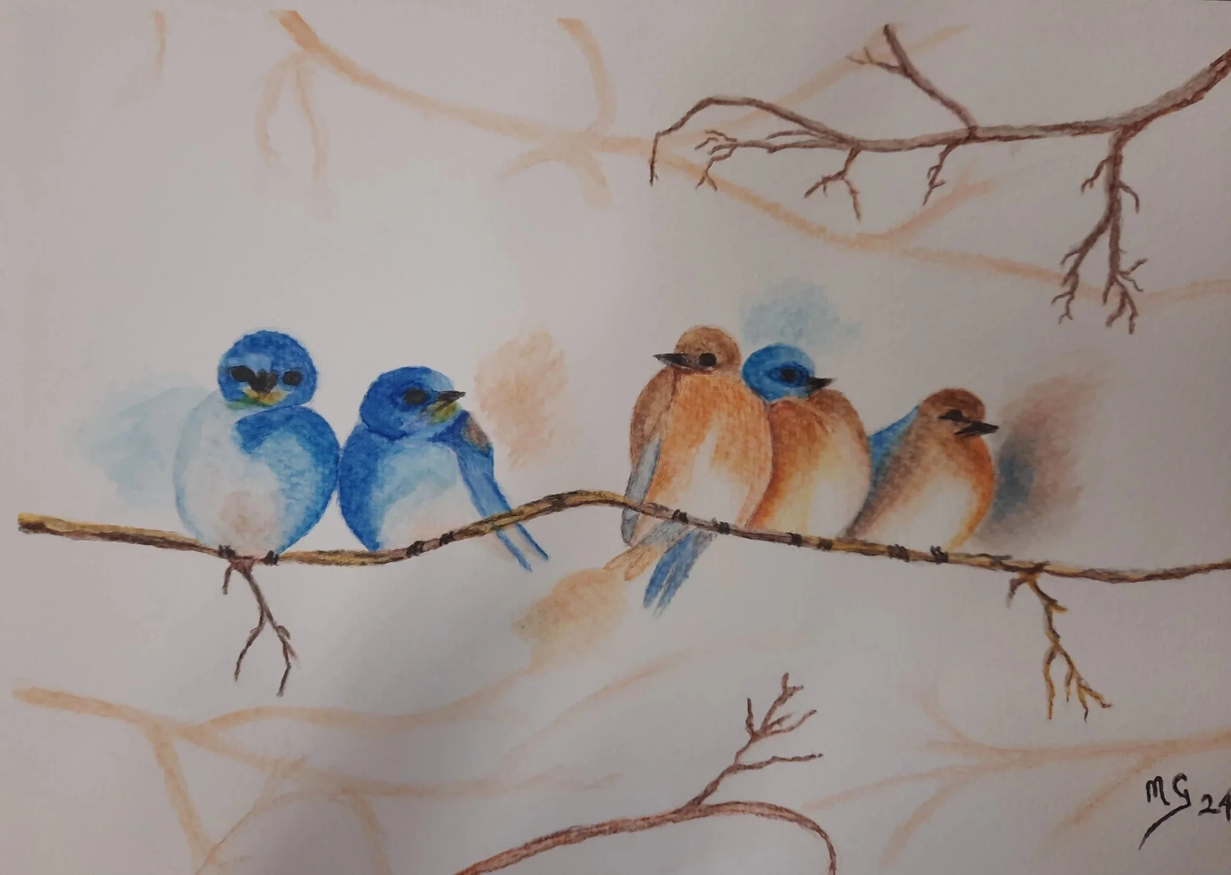 Watercolor painting of a thin branch with small blue and brown birds perched on it, and additional branches in the background.