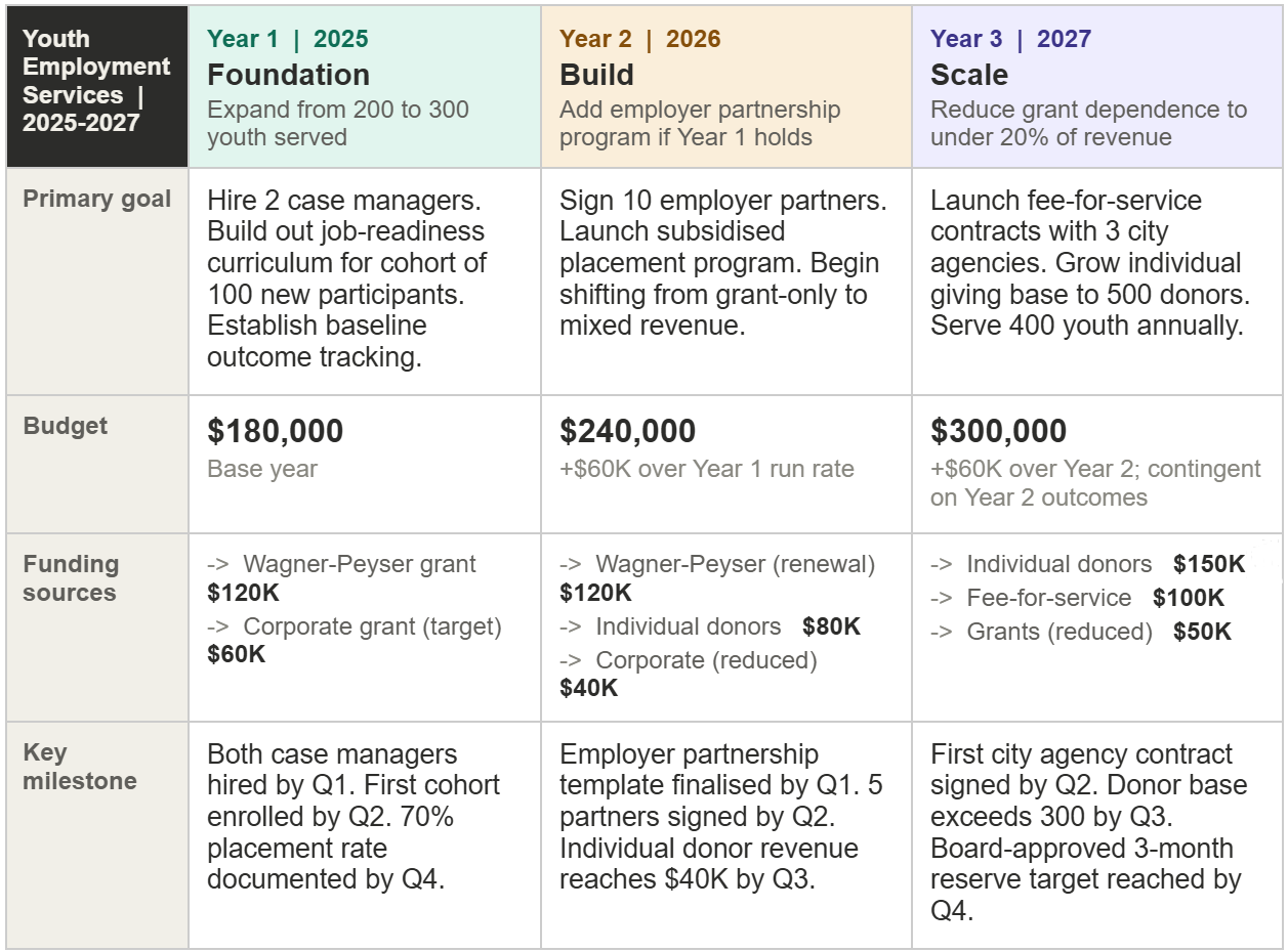 Nonprofit roadmap example
