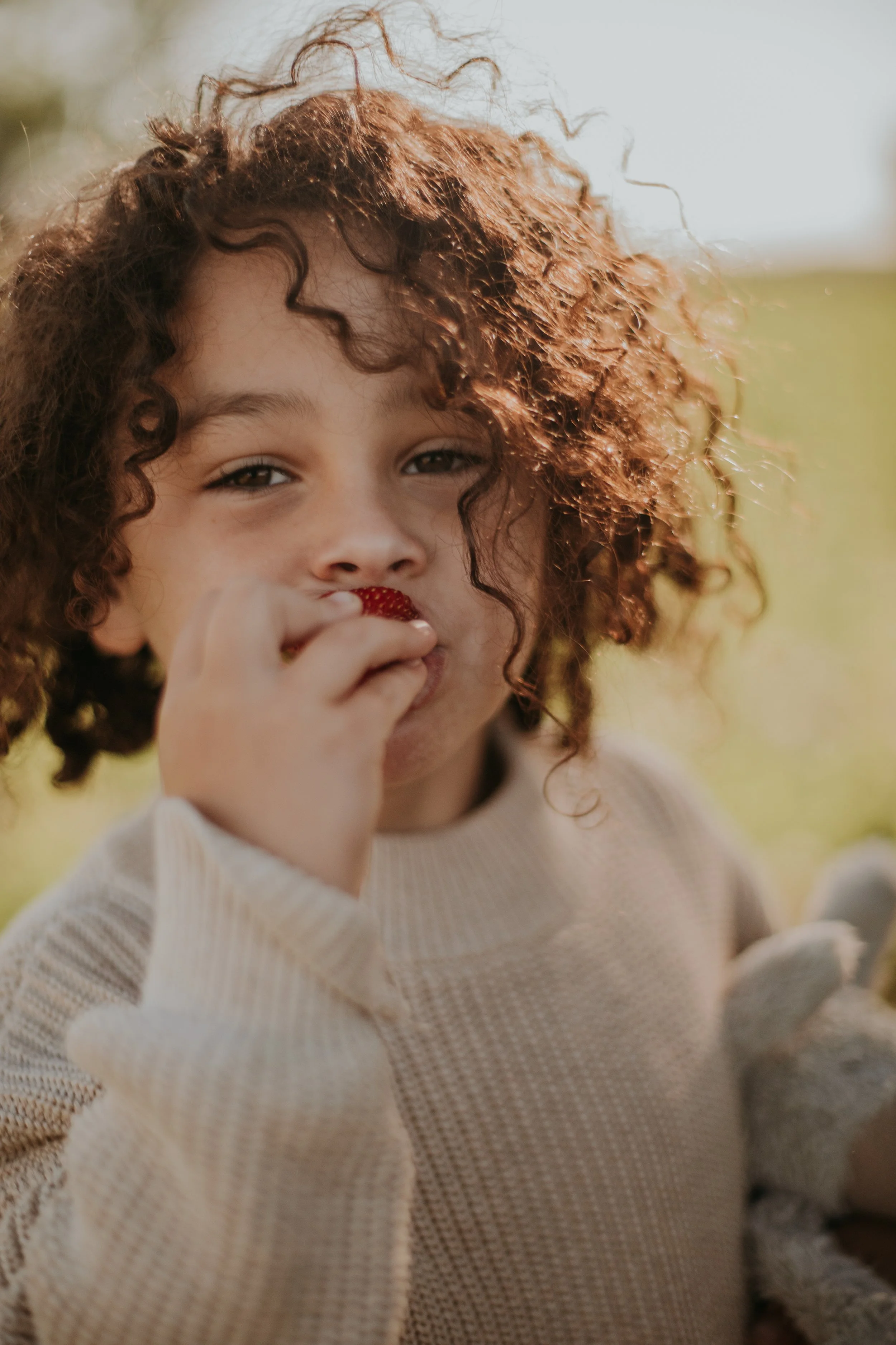 untitled-12 copy.jpg