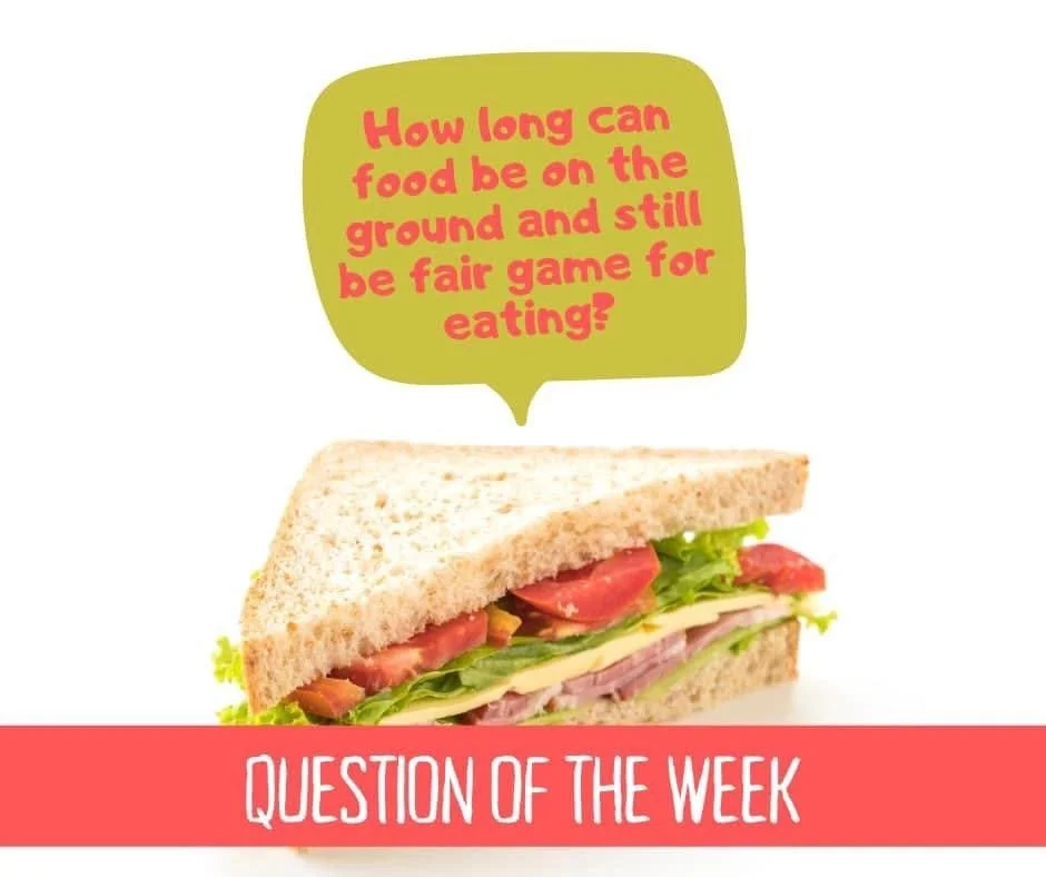 Do you subscribe to the five second rule?