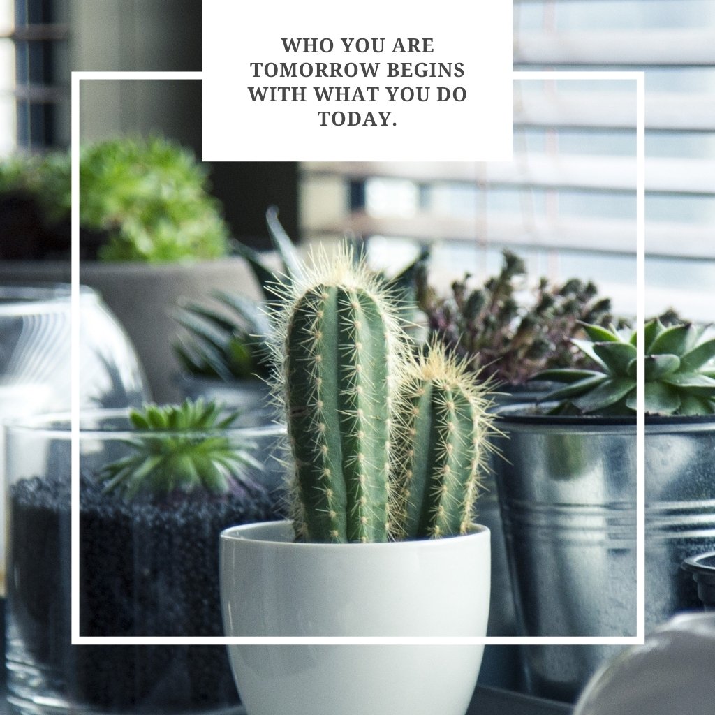Make the choice to change your tomorrow today!  www.sulphurspringsata.com