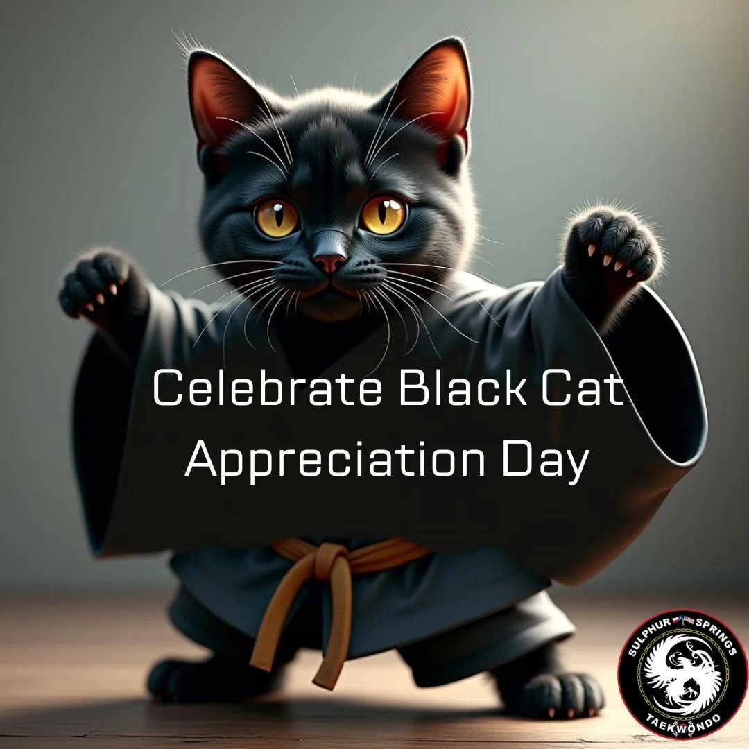 It's National Black Cat Appreciation Day.  They're not unlucky. 🙂
