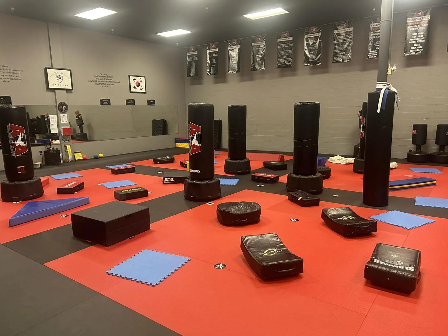 Martial arts or kickboxing training gym with black punching bags, padded mats, and various training equipment on a red and black floor.