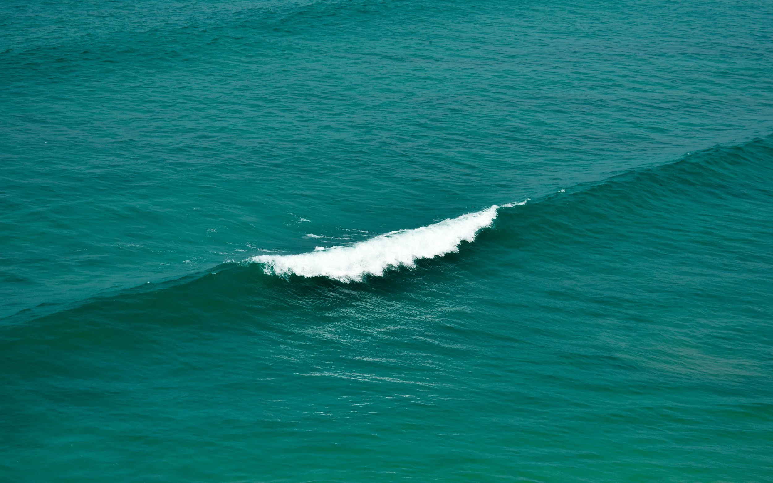 One wave in a vast ocean 