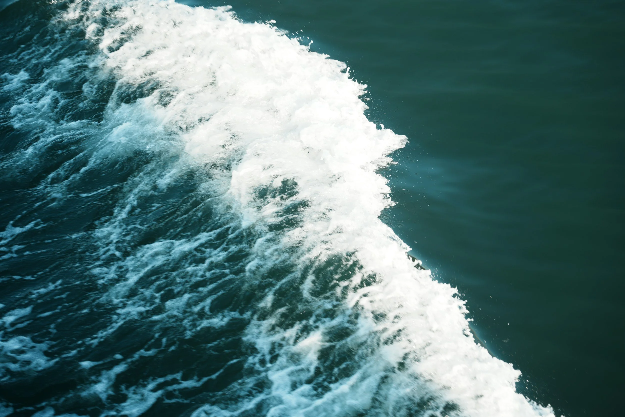 Bird's eye view of a wave crashing 