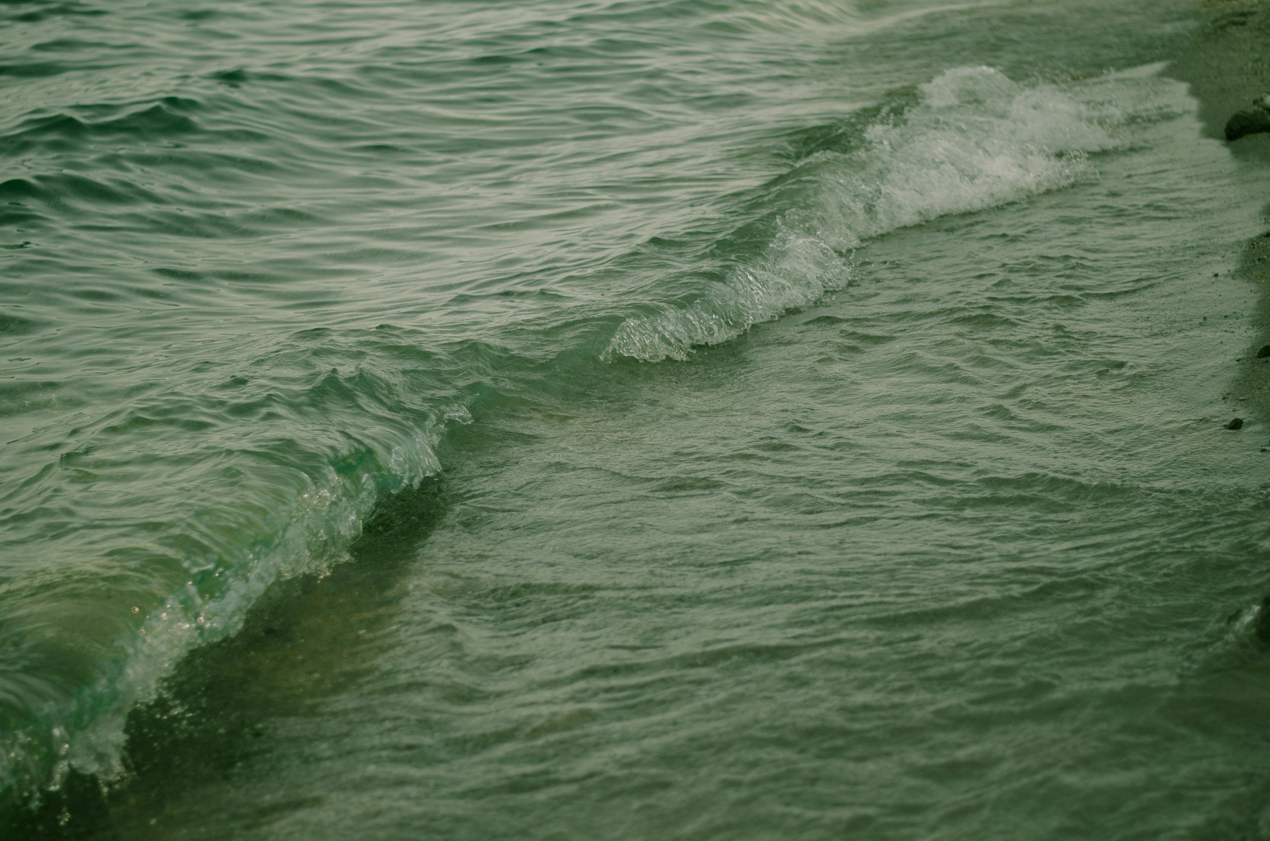 A close-up view of small ocean waves gently breaking on a sandy beach.