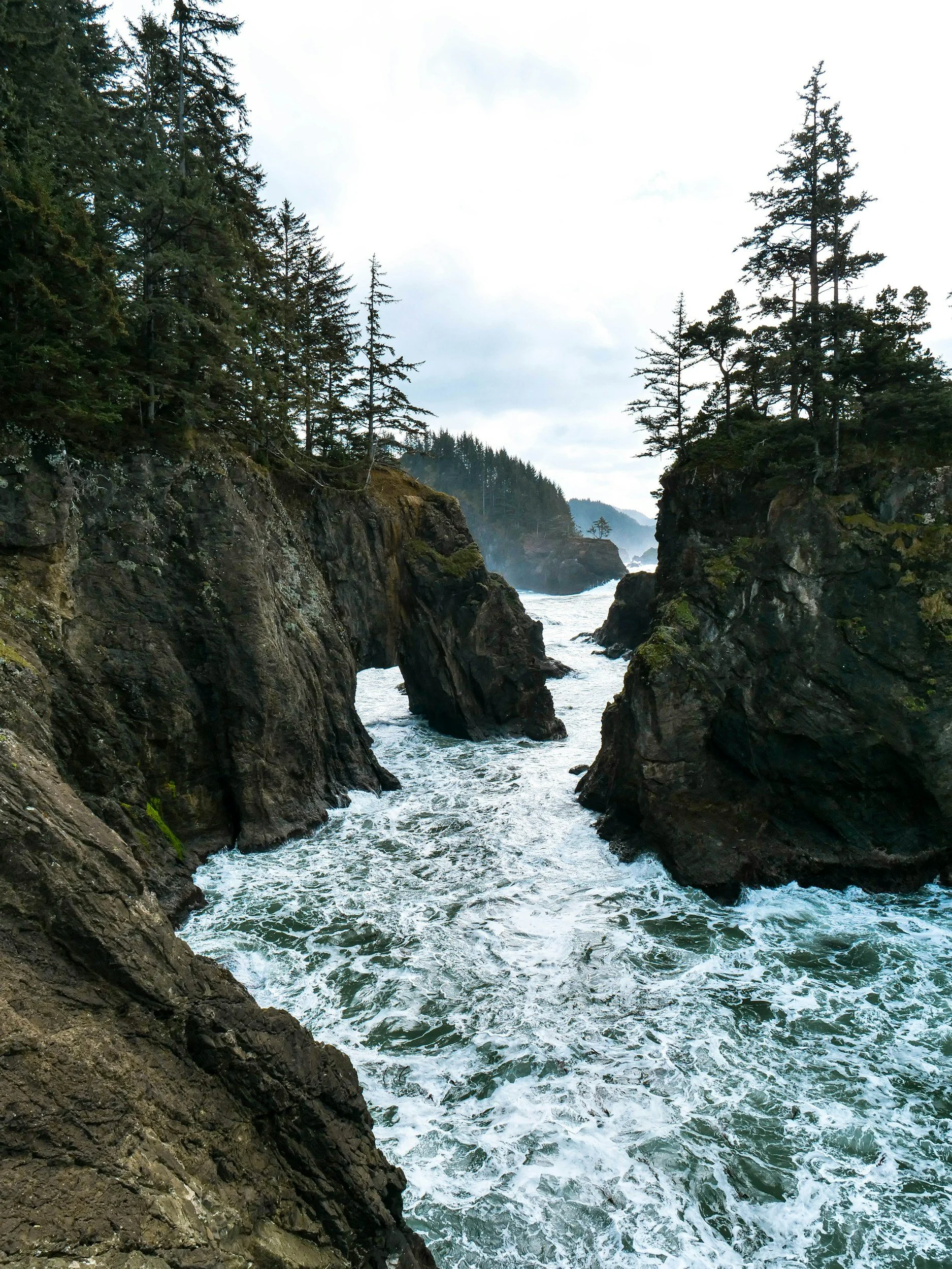 Coastal cliffs with tall pine trees overlooking the ocean, turbulent waves crashing against rocks, and mist in the distance.