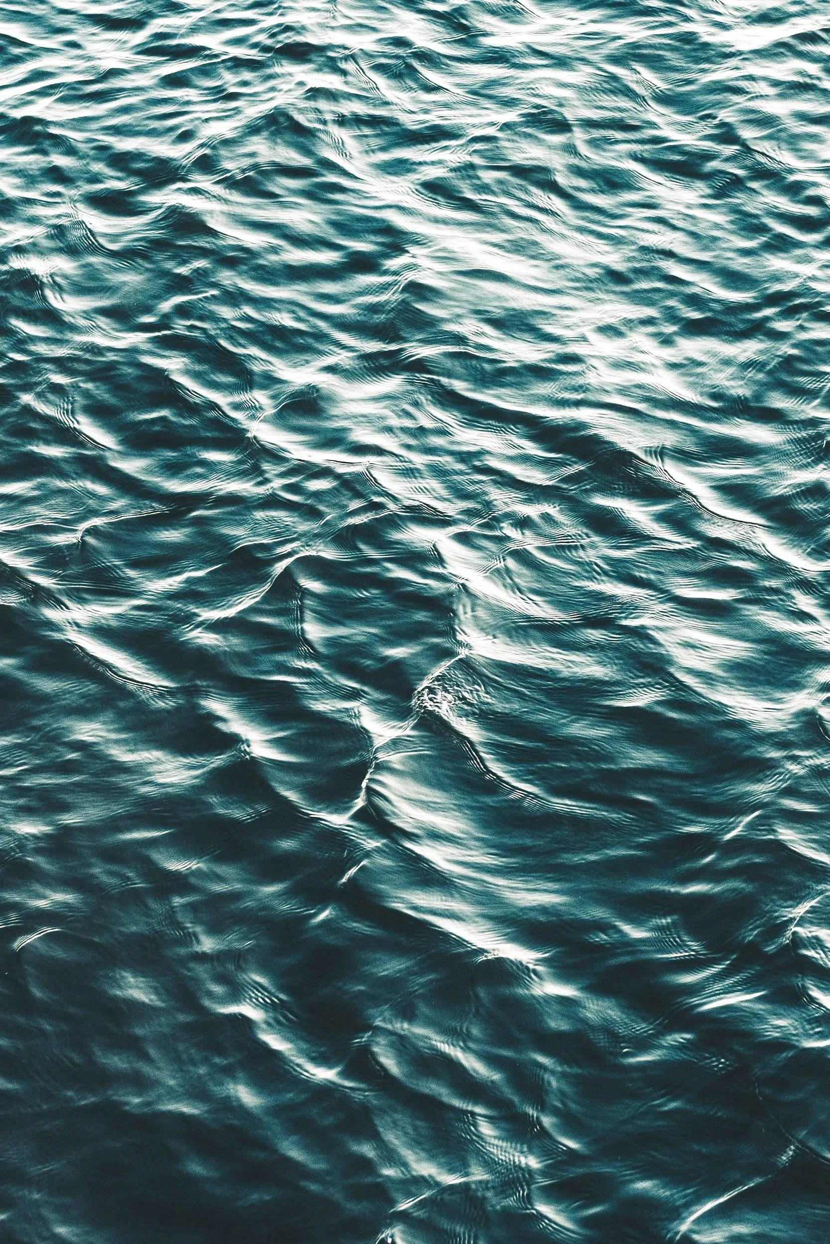Close-up view of ocean water with ripples and gentle waves.