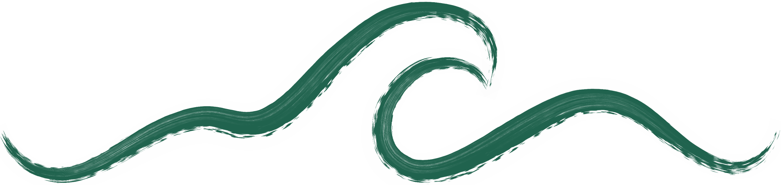 A stylized, curved line resembling ocean waves in shades of green.