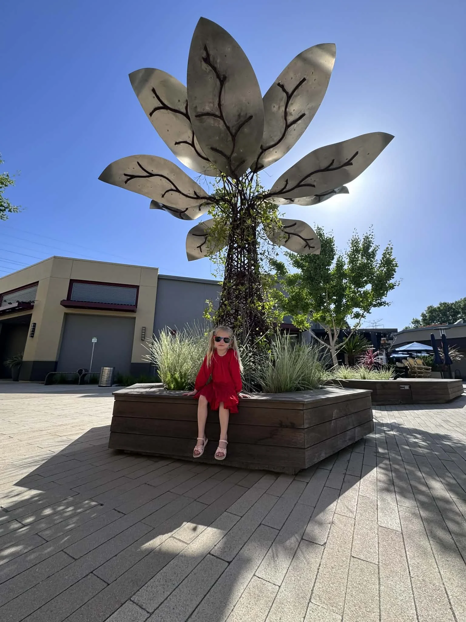 afdc427c-01ab-432a-bea9-6ed473fdb2c6.jfif