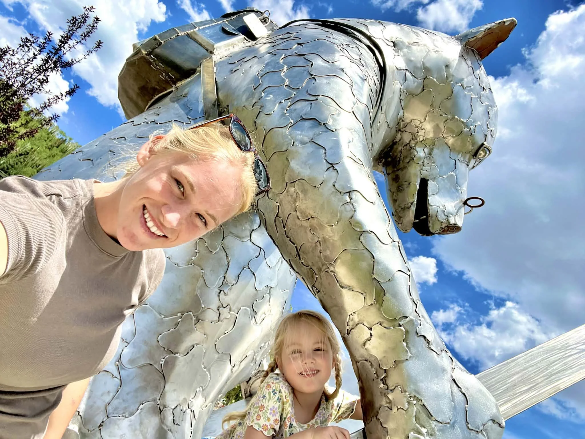 3c94cc97-a3da-4a48-bded-e8d26ece31e2.jfif