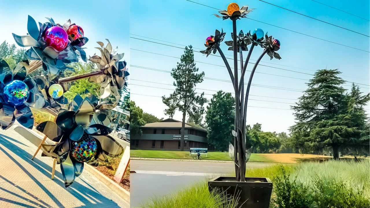 twist and sprout-2.jpg