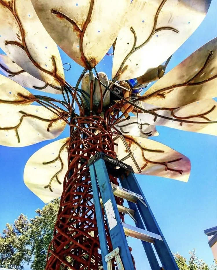 8fdcbfd6-195b-4758-bd5b-63ef0dfe51b8.jfif