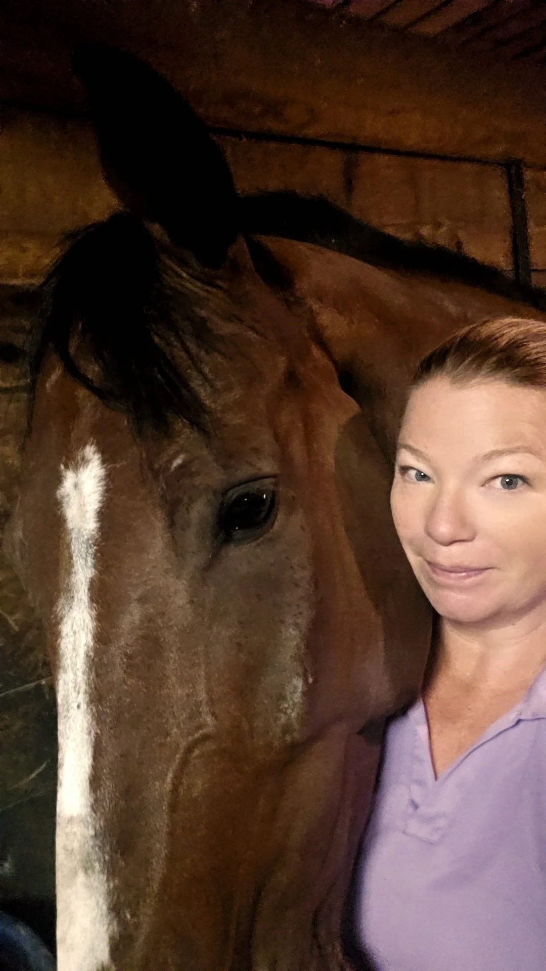 A woman in a purple shirt standing next to a brown horse in a stable.