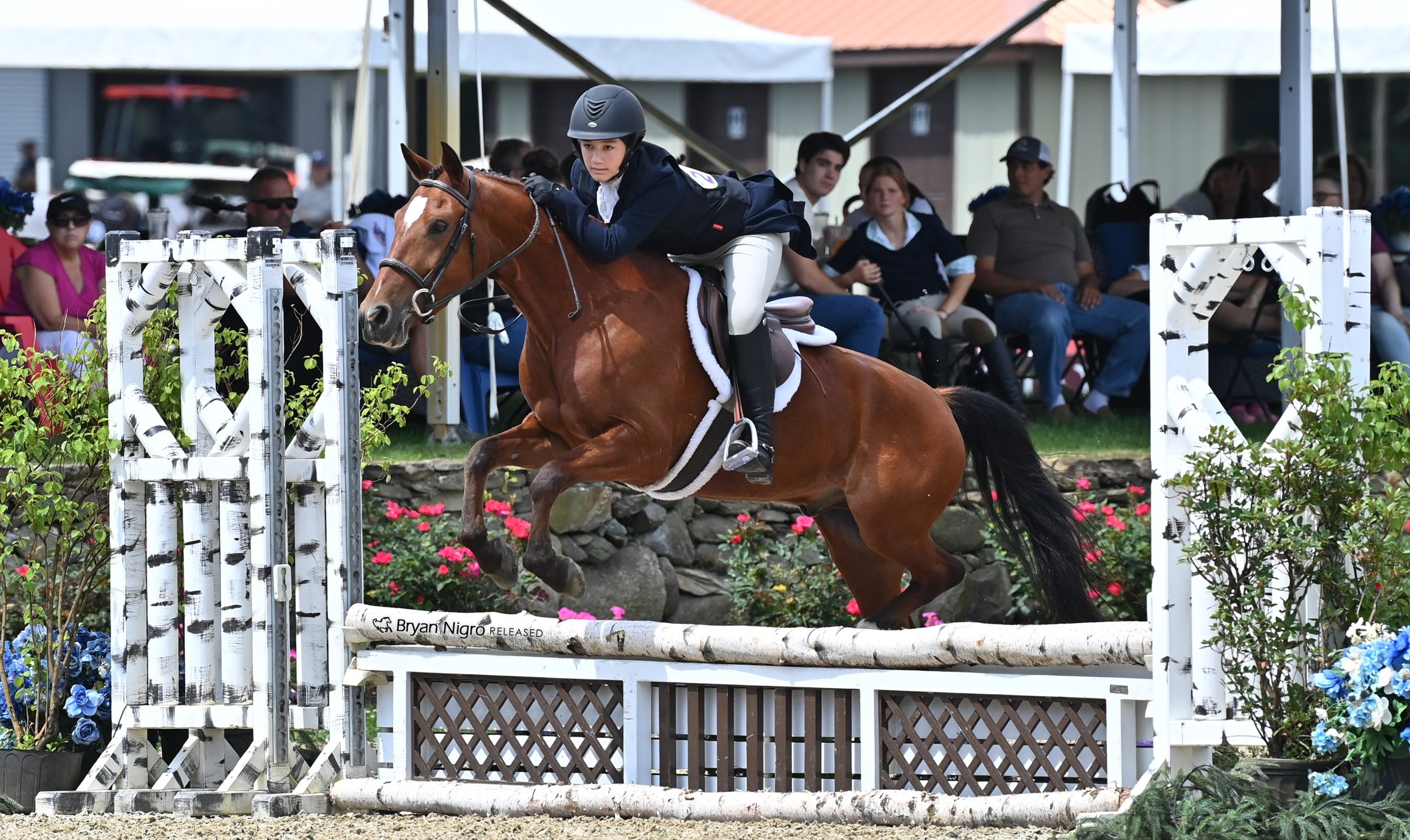 A young female rider wearing a helmet and navy riding jacket jumping a brown horse over a white obstacle at an equestrian event, with spectators seated in the background.