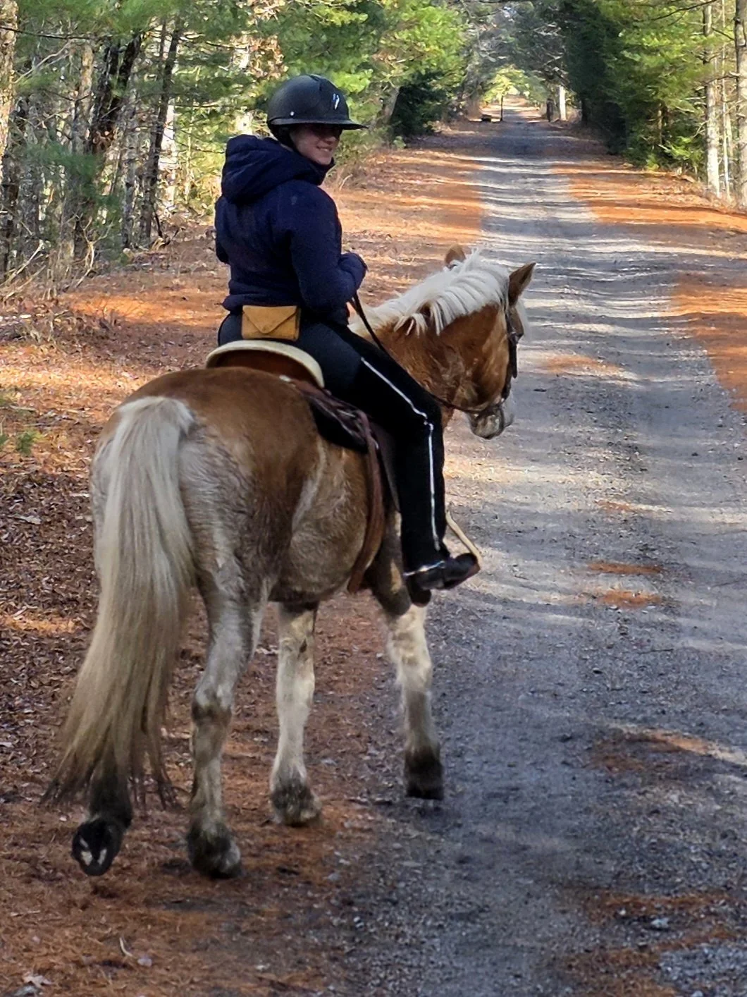 A person riding a chestnut and white horse on a dirt trail through a forest with trees on both sides.